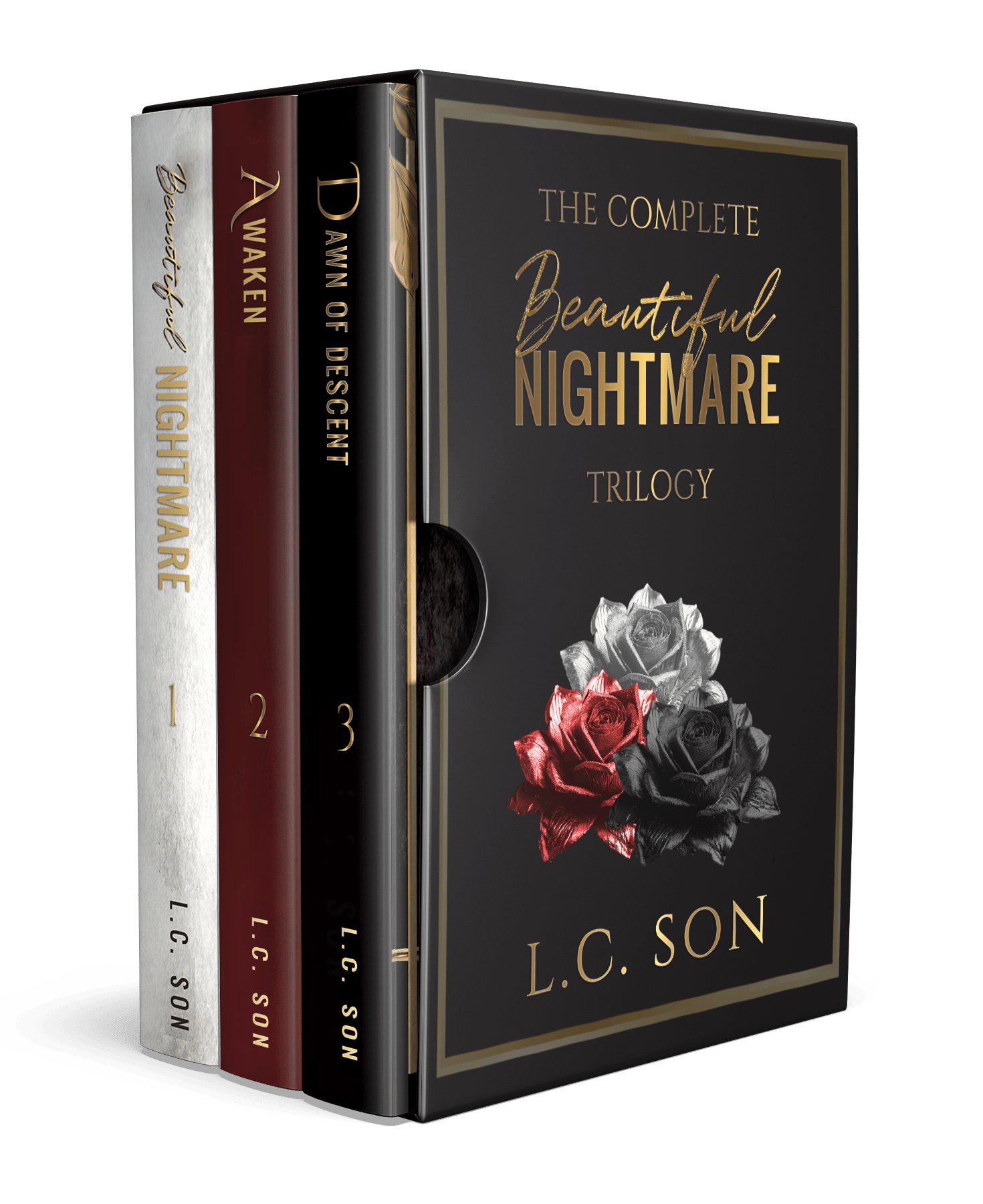 BEAUTIFUL NIGHTMARE PARANORMAL ROMANCE BOOK