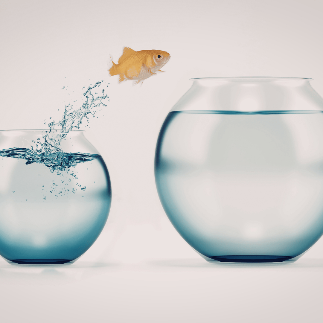 When Everything Shifts: Staying Emotionally Grounded During Major Life Transitions how hypnotherapy can help