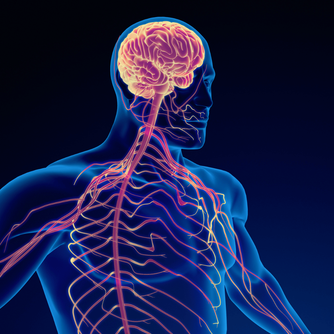 Healing Beyond Medication: Supporting the Nervous System During Recovery how hypnotherapy can help
