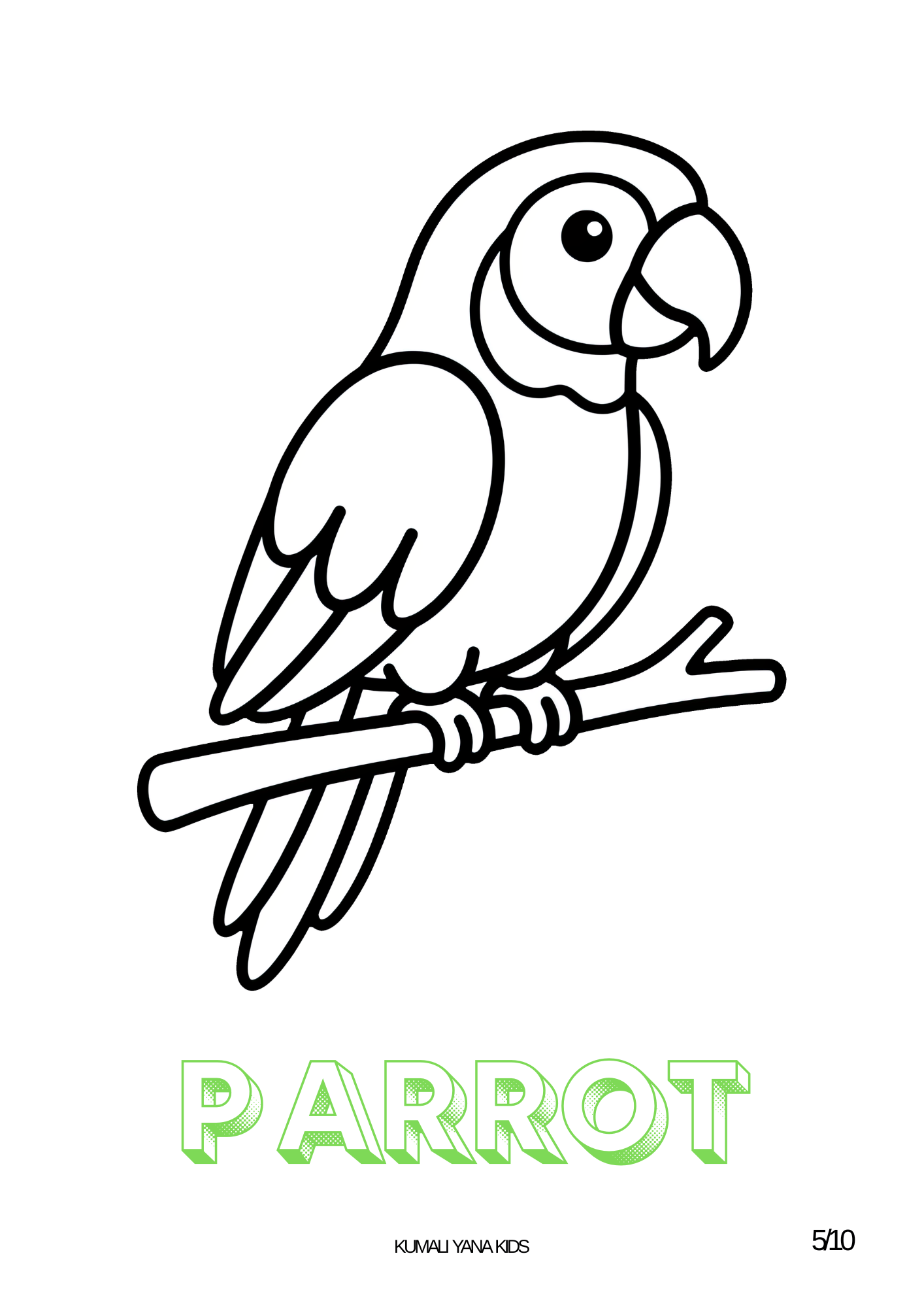 Amazonia Parrot