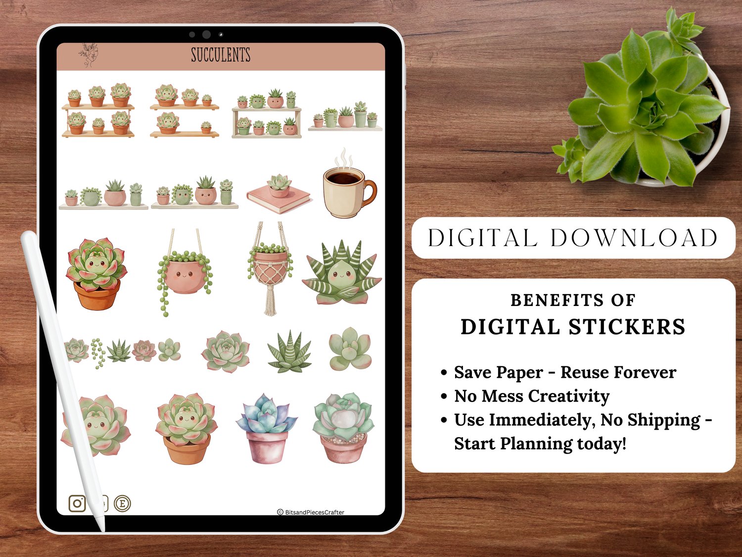 FREE Succulent Digital Sticker Sampler | 20 PNG Plant Stickers | GoodNotes