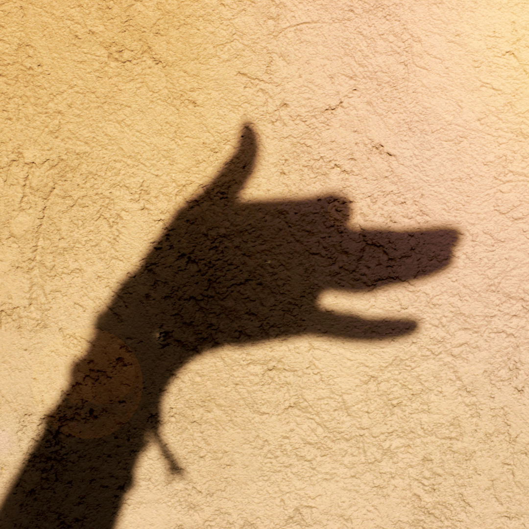 Can Hypnotherapy Make You Bark Like a Dog? The Truth About 'Stage Hypnosis' vs. Clinical Practice - hypnotheray hypnosis audios