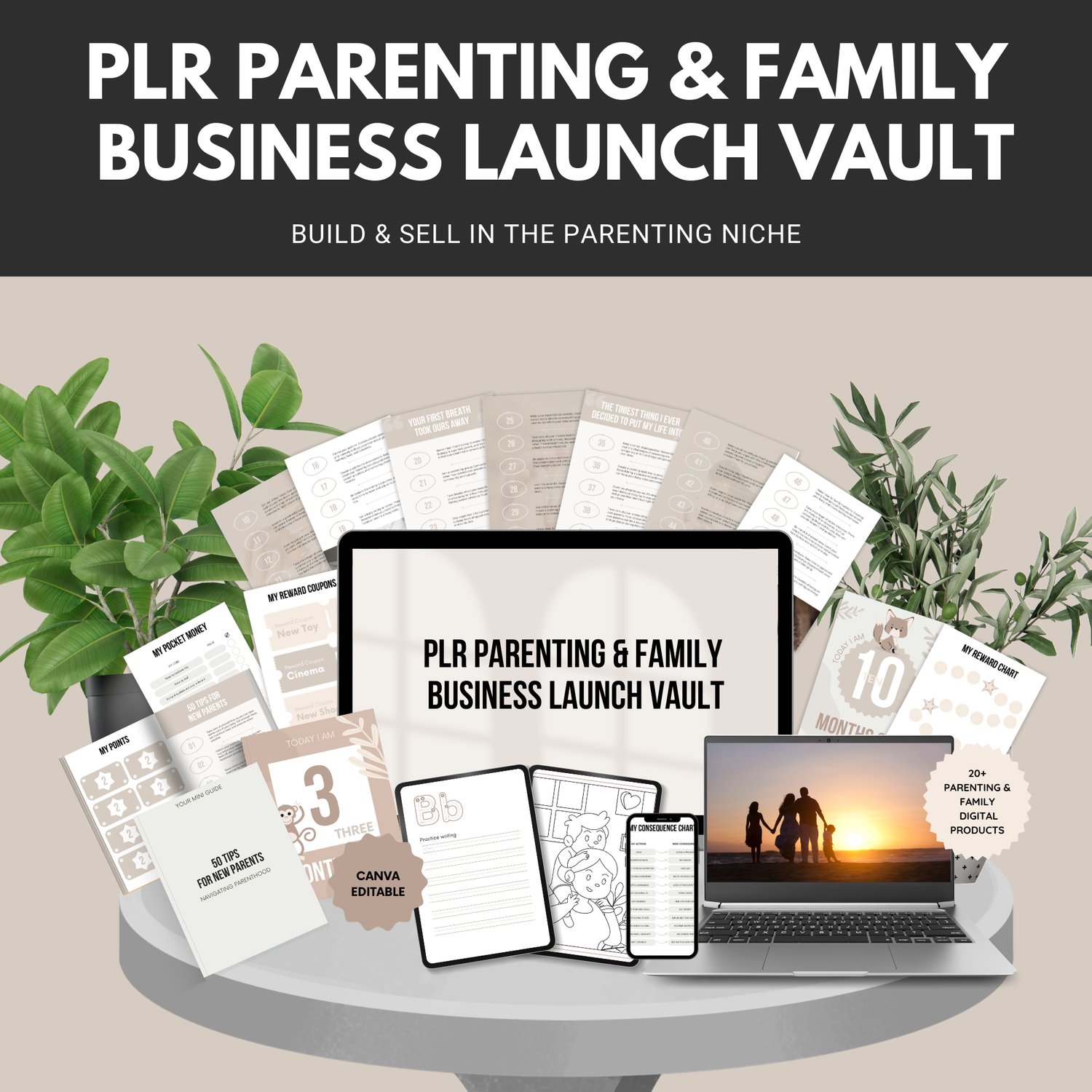 PLR Parenting & Family Business Launch Vault
