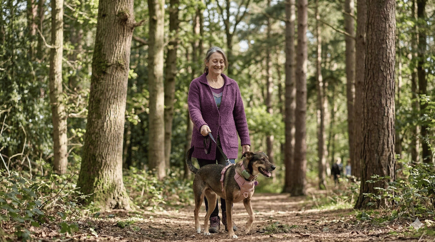 Woman aged 55 walking in forest with a medium sized brown dog in pink harness, both smiling