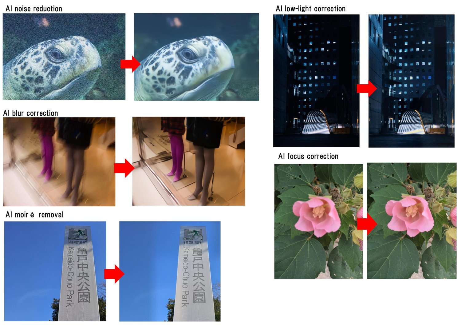 AI Paint Cleaner examples showing AI detail upscaling, background removal, transparency masking, and super resolution