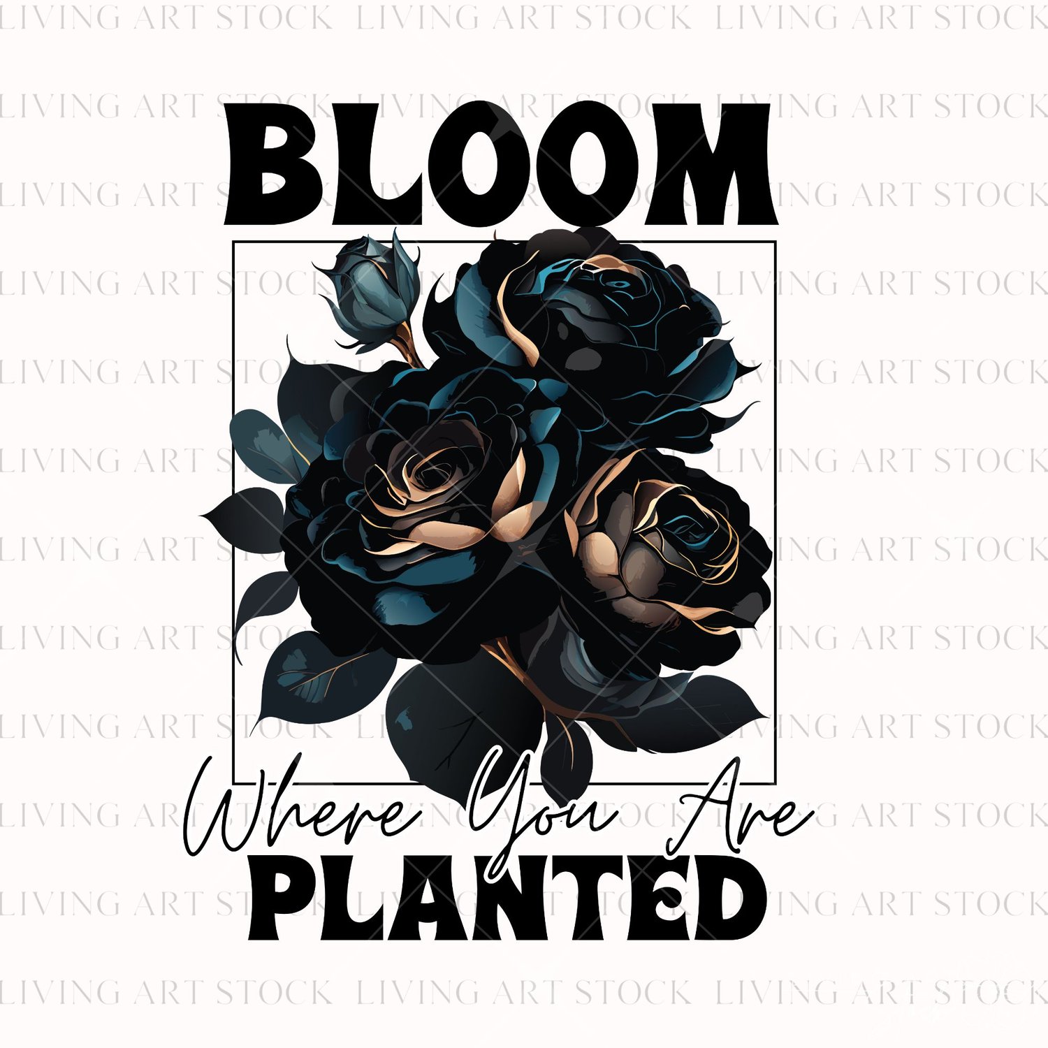 An illustration of three black roses with gold and blue highlights, surrounded by a thin black frame and the text "bloom" above and "where you are planted" below in black serif and script fonts, set against a plain white background