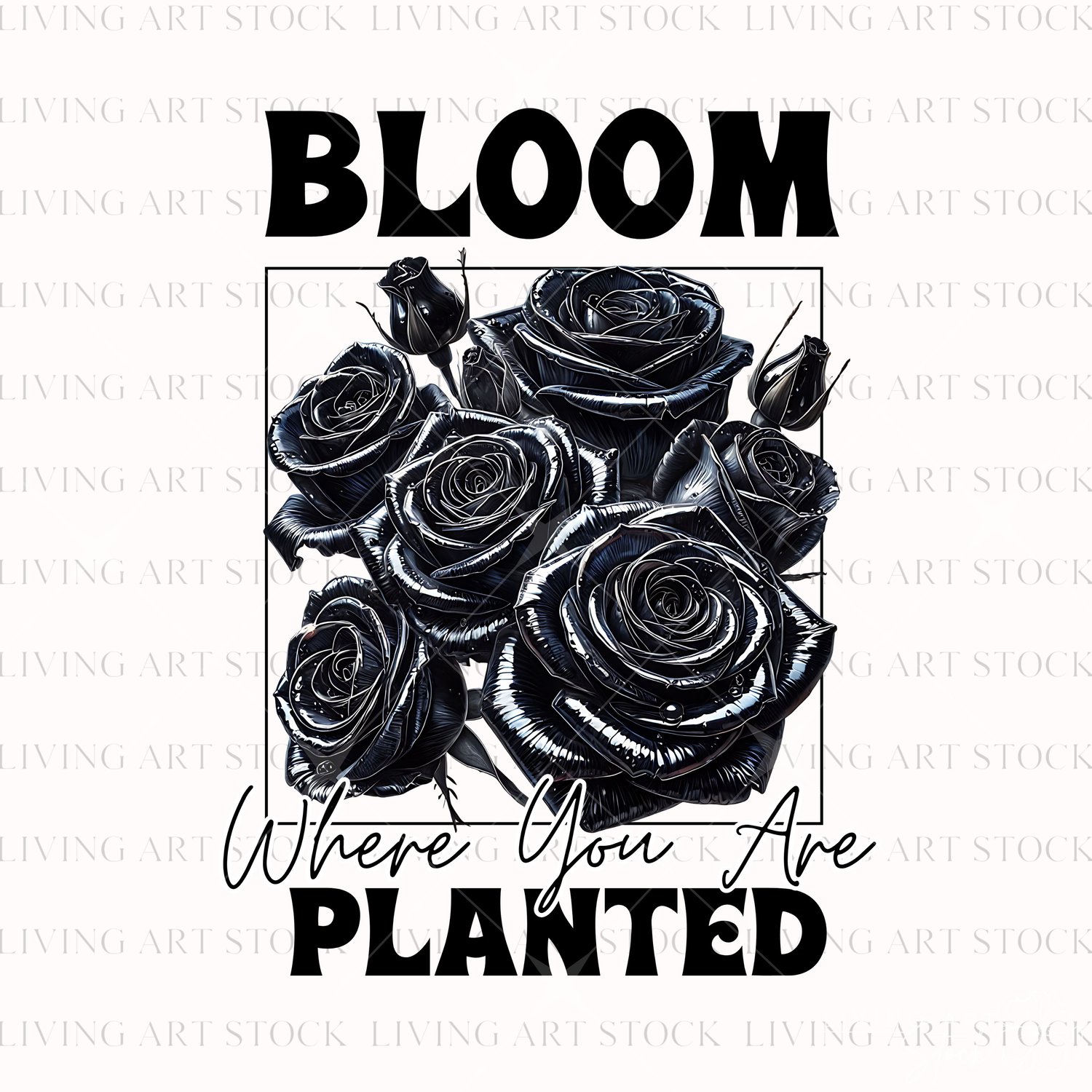 An elaborate bouquet of detailed, glossy black roses and buds with metallic, chrome-like highlights is positioned inside a square frame. The bold text "BLOOM" is featured above the frame, and the inspirational quote "Where You Are Planted" is below it, us