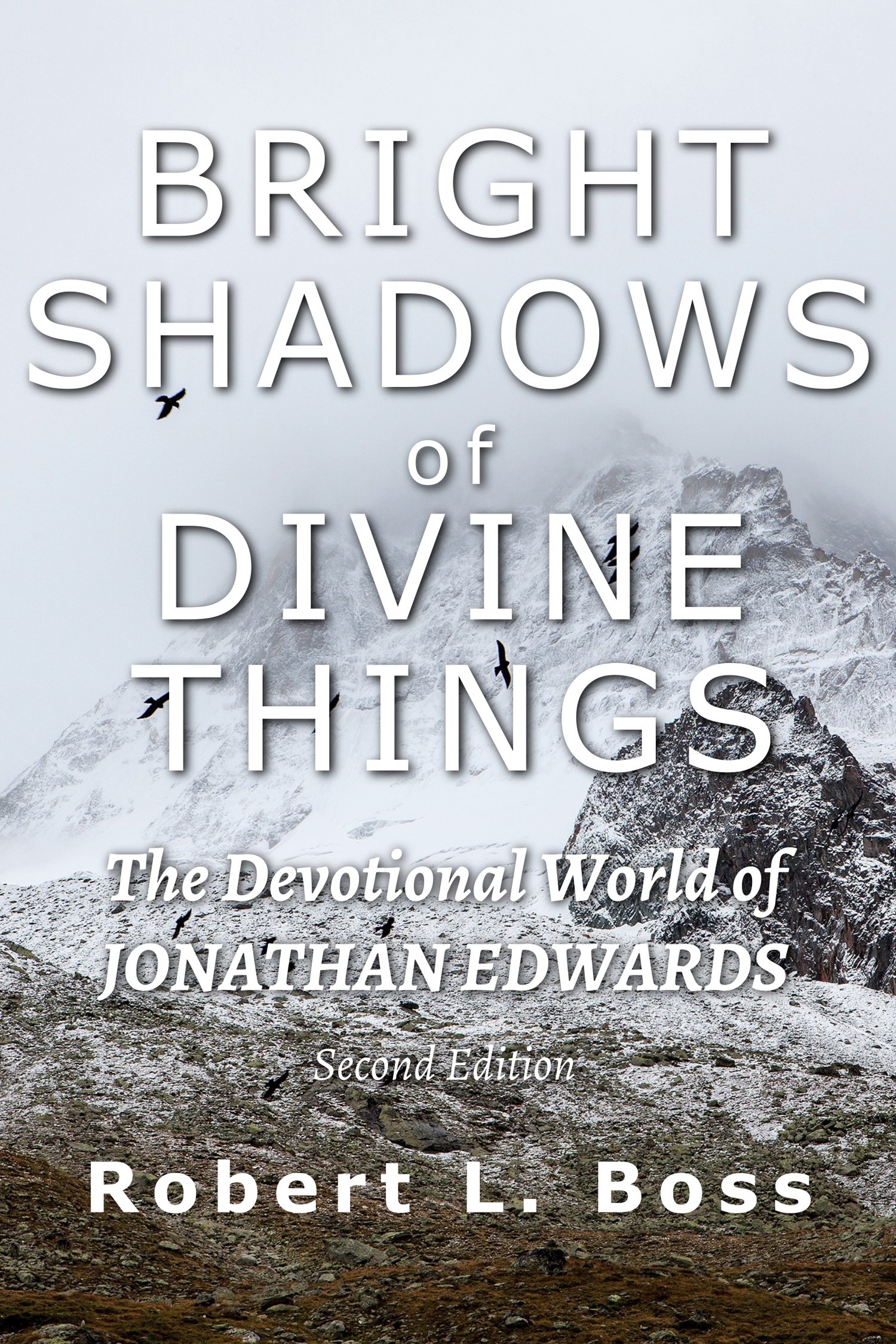 Bright Shadows of Divine Things