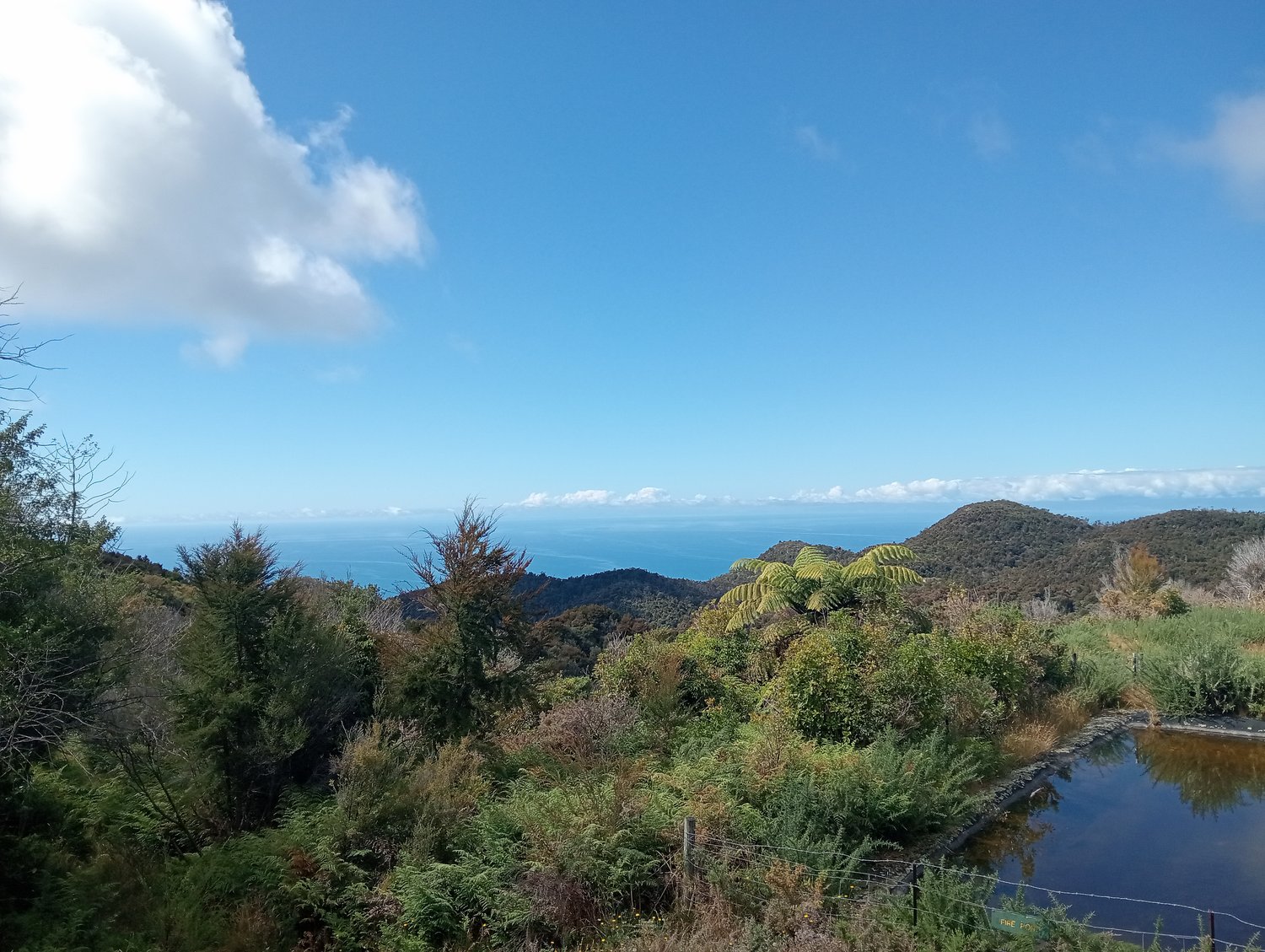 View from Holyoakes Clearing out to Tasman Bay