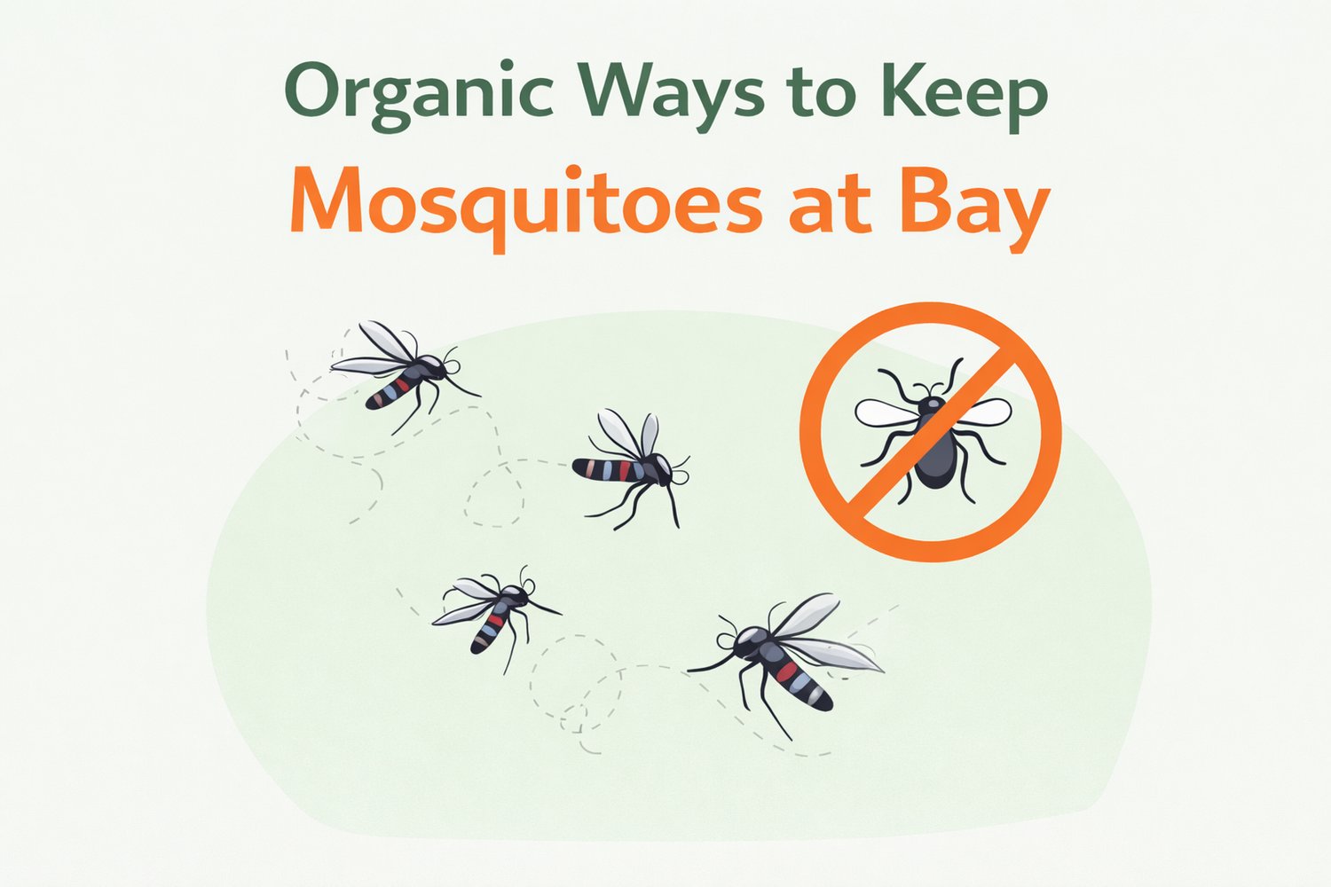 Organic ways to keep mosquitoes away simple illustration with no mosquito sign