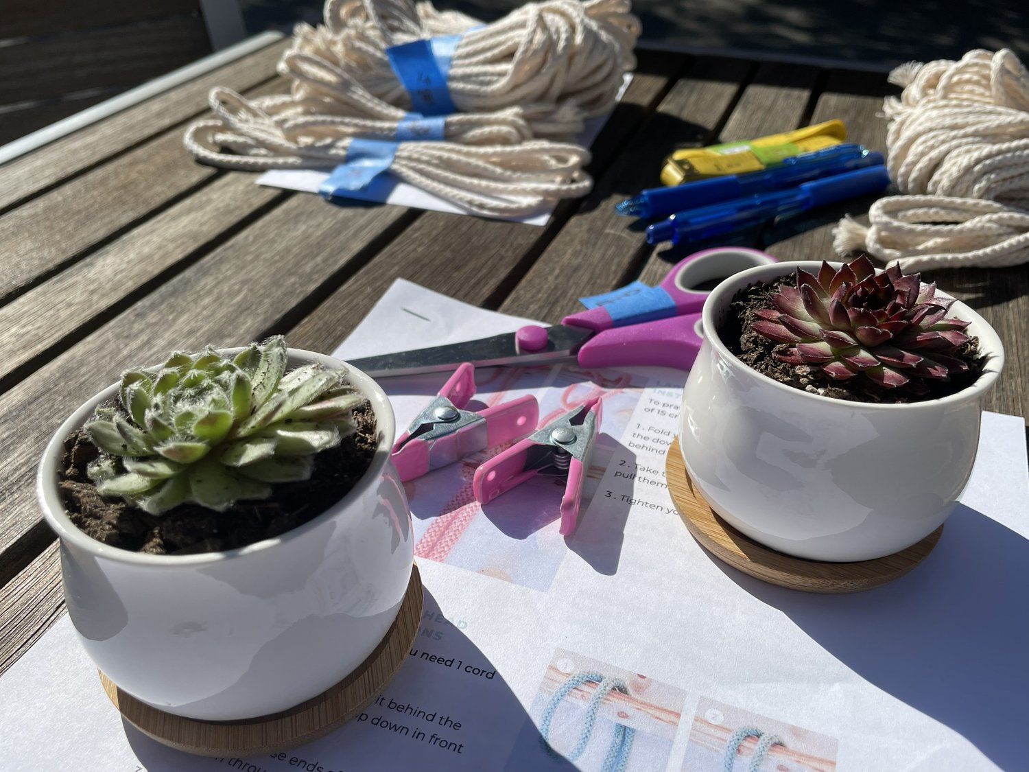 Succulent plants and macramé supplies arranged on a table for a craft workshop.