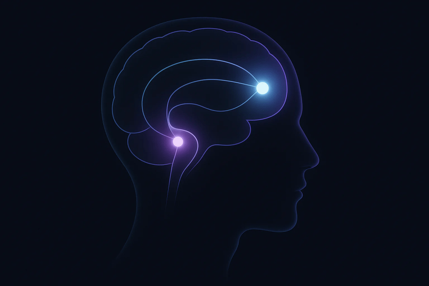 How the Nervous System Stores Emotional Memories