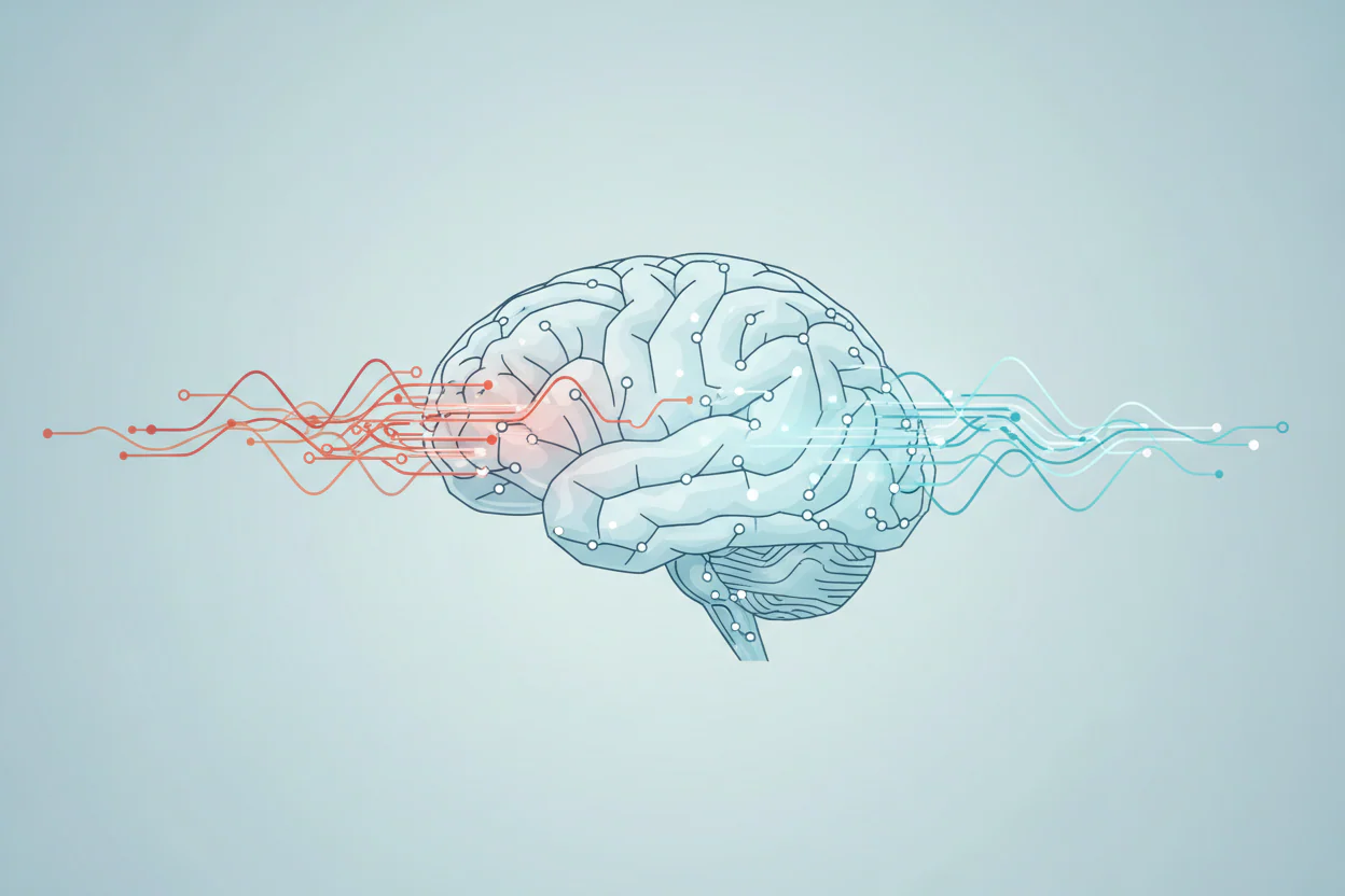 How Stress Remodels Your Brain—And How You Can Rewire It