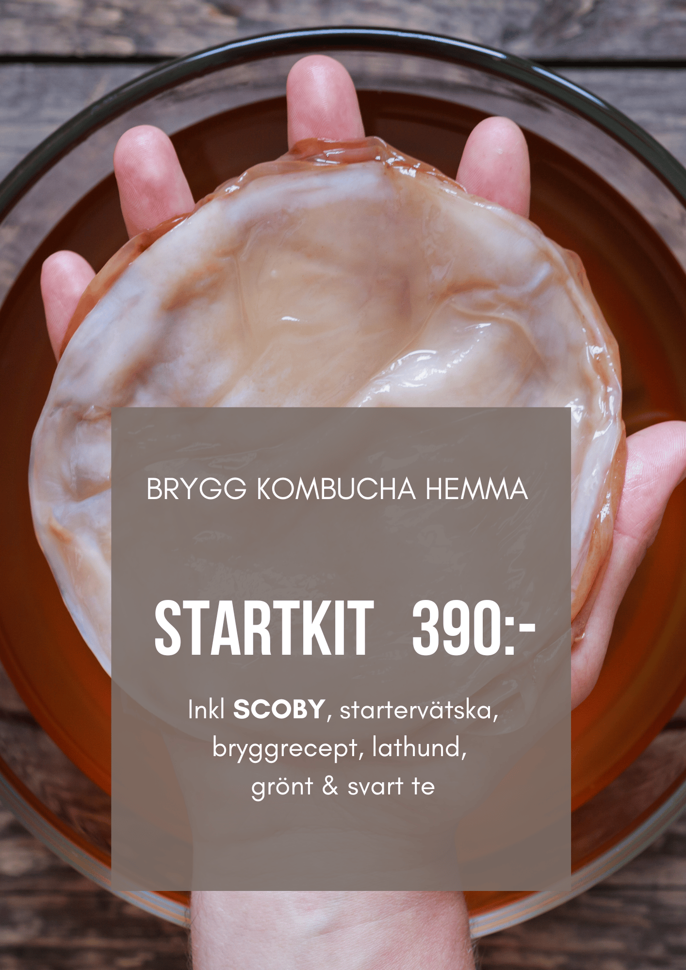 brygg hemma, köp startkit kombucha, scoby, startervätska, bryggmanual