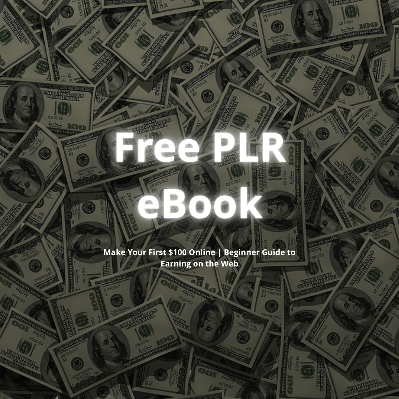 cover image of Free PLR eBook – Make Your First $100 Online | Beginner Guide to Earning on the Web (Resell Rights Included)