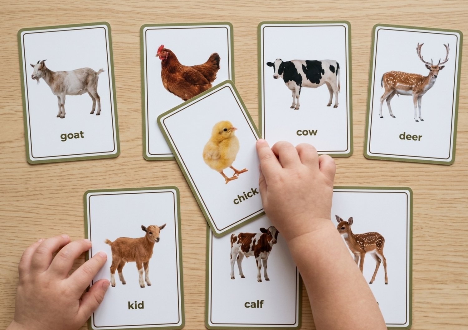 Farm Animals & Their Babies: 32 Montessori Flashcards