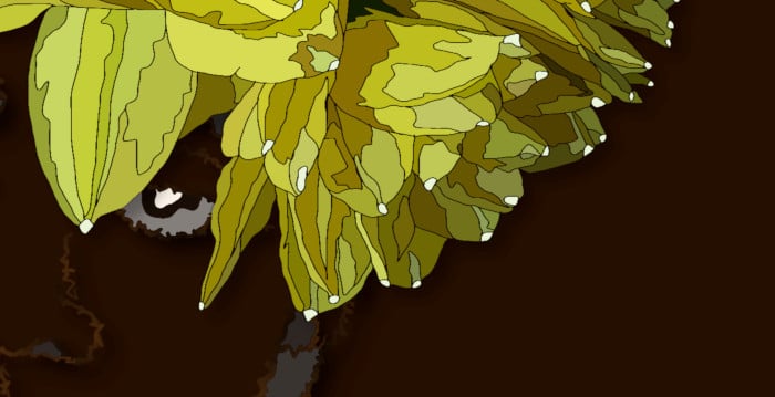 closeup flower girl's eye