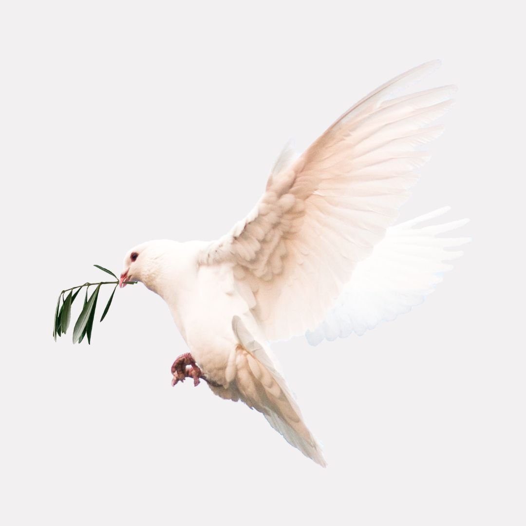 Holy Spirit as a dove