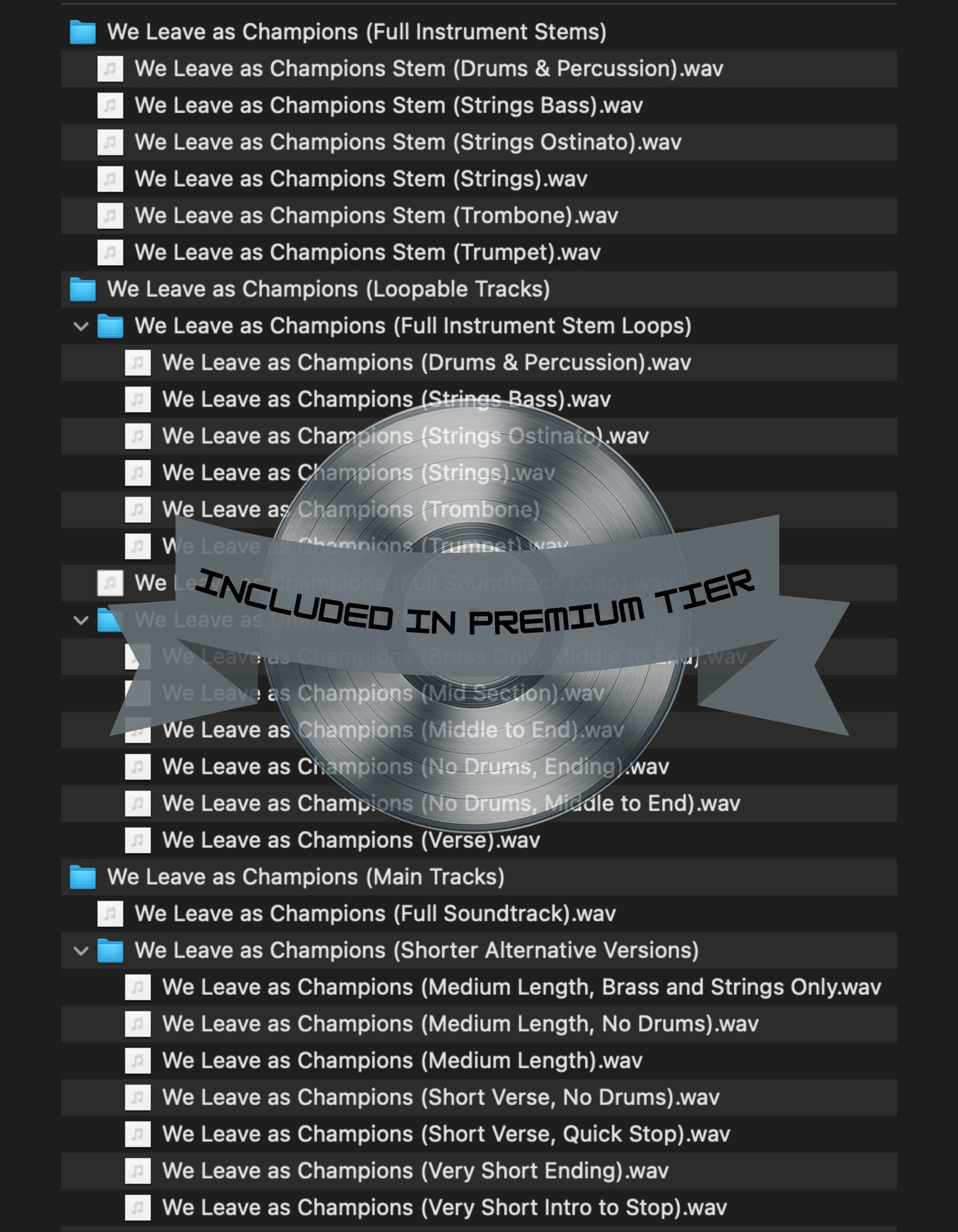 Cinematic orchestral anthem built for sports championships, emotional highlights, and brand storytelling. Perfect for trailers, documentaries, and uplifting visual content needing a heroic sound.