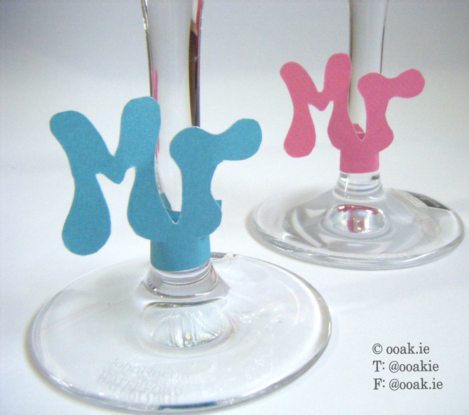 Blue and Pink Mister and Mister wine glass tags