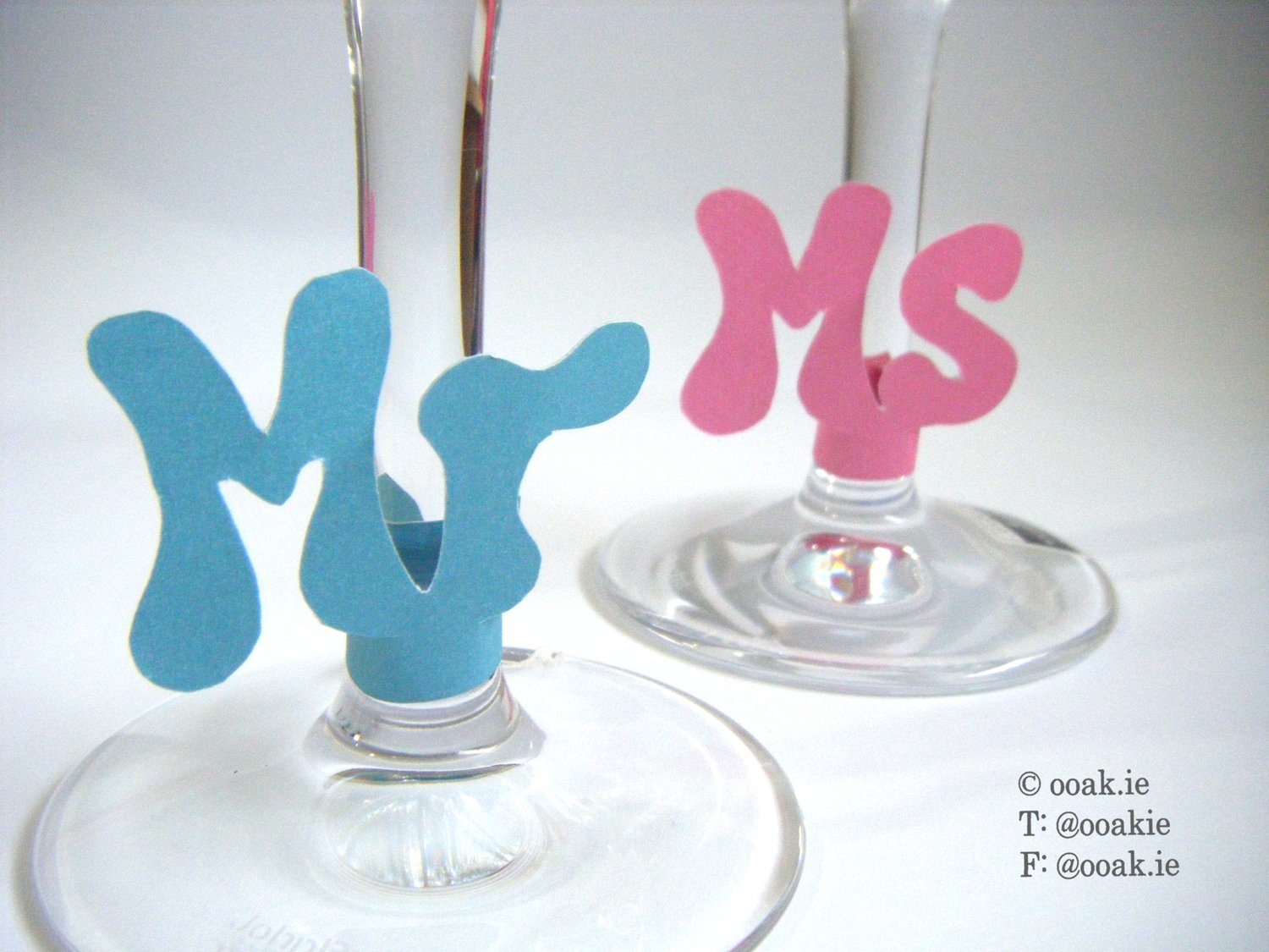 Blue and Pink Mr and Ms Wine glass tags