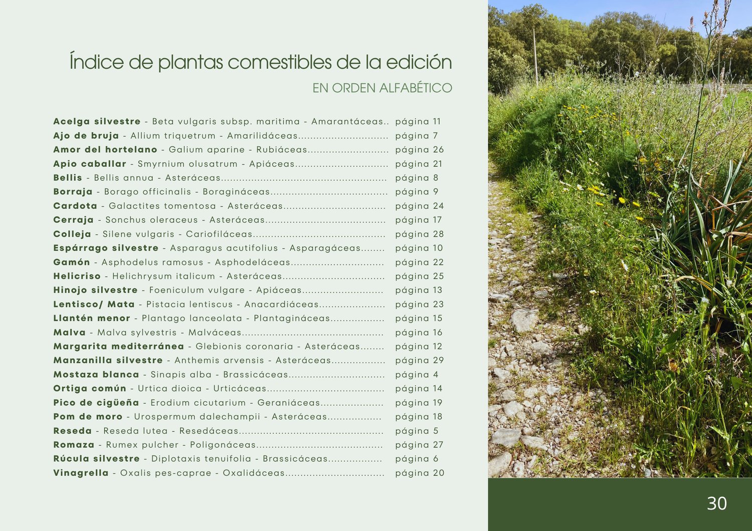 Índice de 26 plantas silvestres comestibles mediterráneas con nombres científicos y páginas, guía botánica primavera 2026 Mallorca