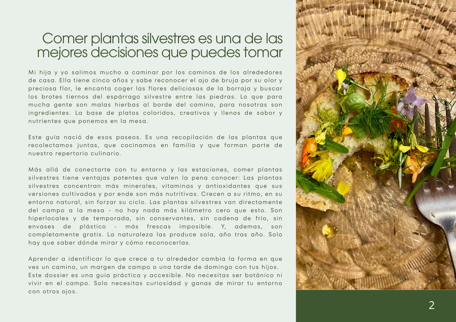 Plato de cocina con plantas silvestres recolectadas en el campo de Mallorca, recetas con ingredientes silvestres mediterráneos