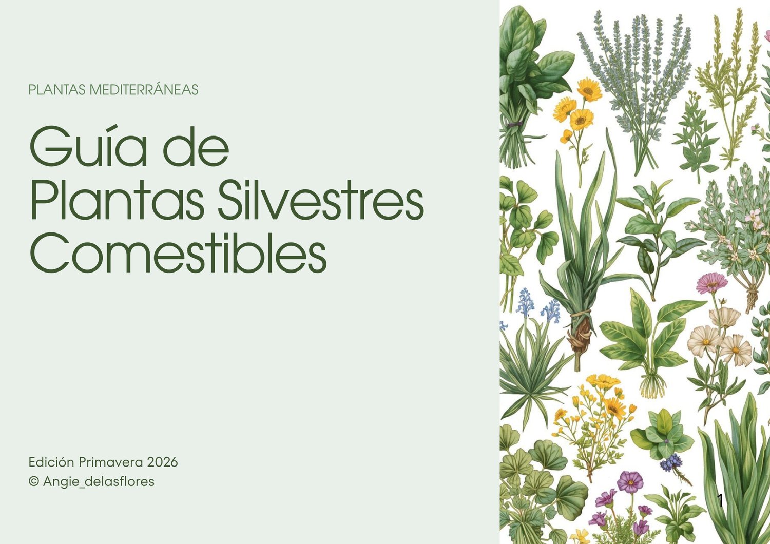 Guía de Plantas Silvestres Comestibles Mediterráneas Edición Primavera 2026 por Angie de las Flores, ilustración botánica con plantas del mediterráneo