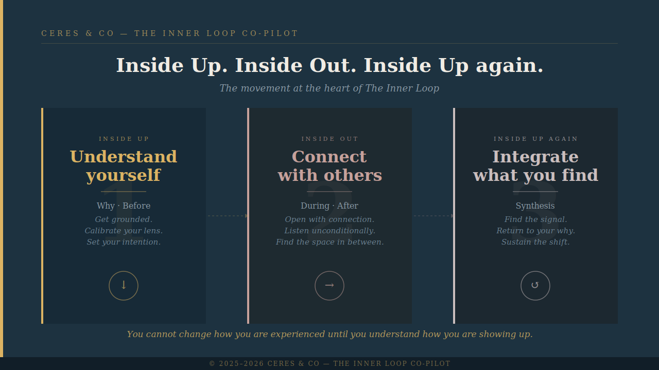 The Inner Loop Co-Pilot - Payhip
