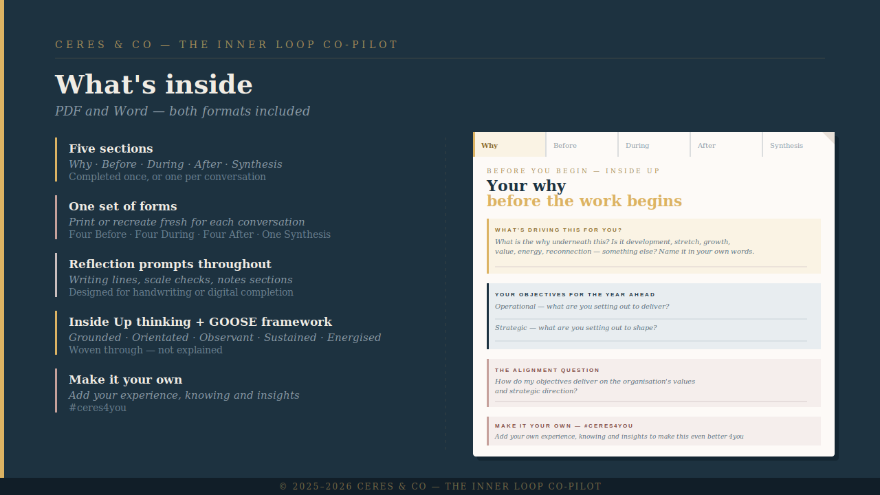 The Inner Loop Co-Pilot - Payhip
