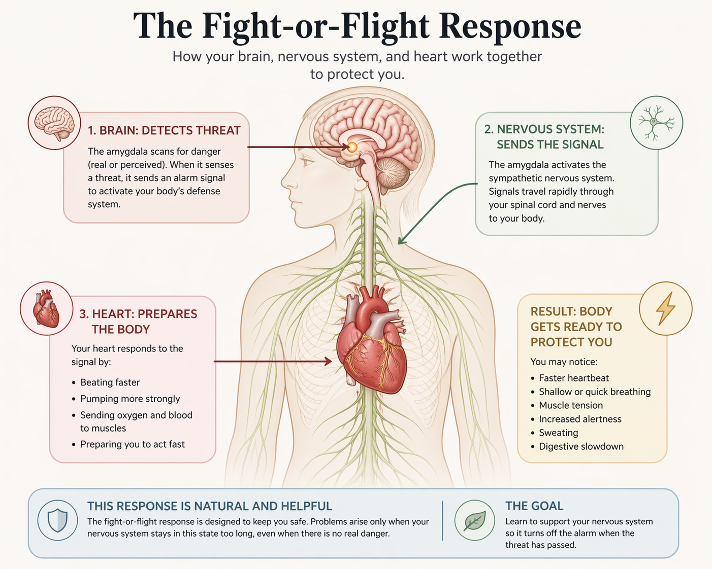fight or flight anxiety symptoms