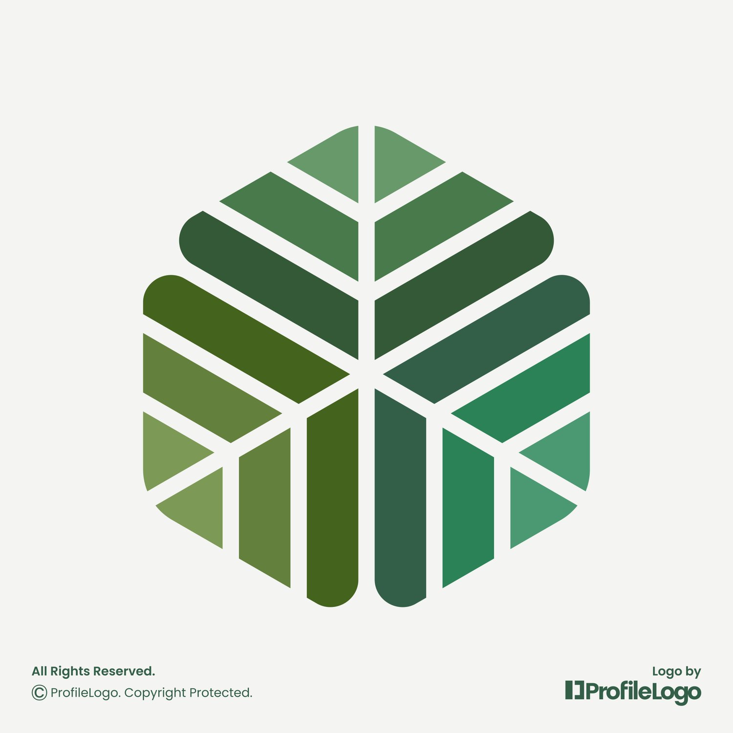 Colorful hexagon organic eco leaf logo for sale by ProfileLogo with light grey background