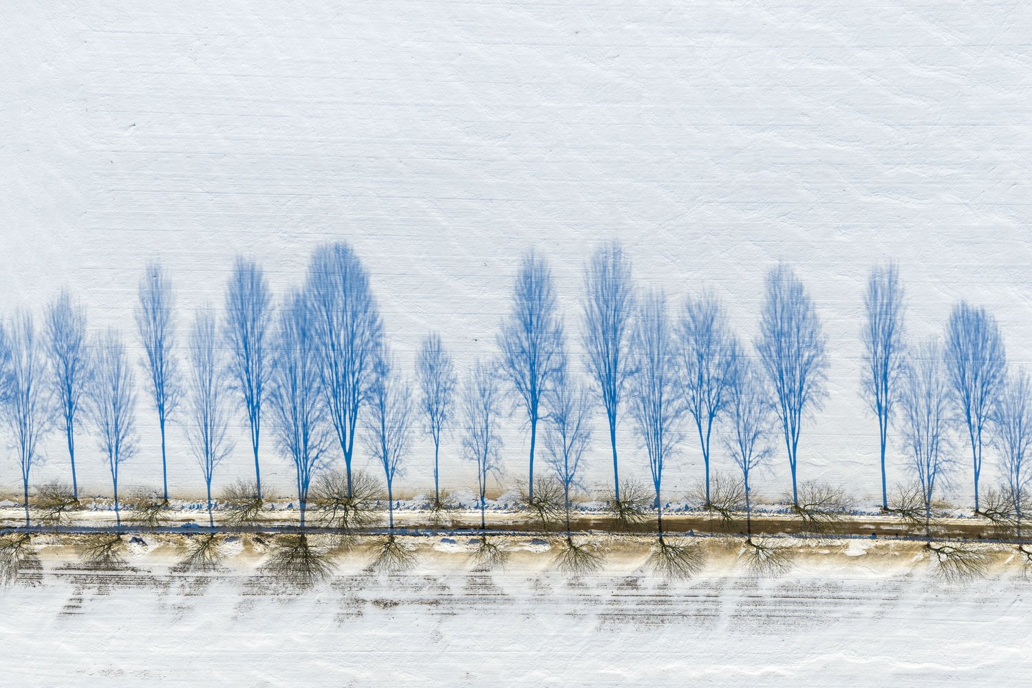 Drone aerial denmark landscape photography winter snow trees shadows lines minimalism simplicity 2