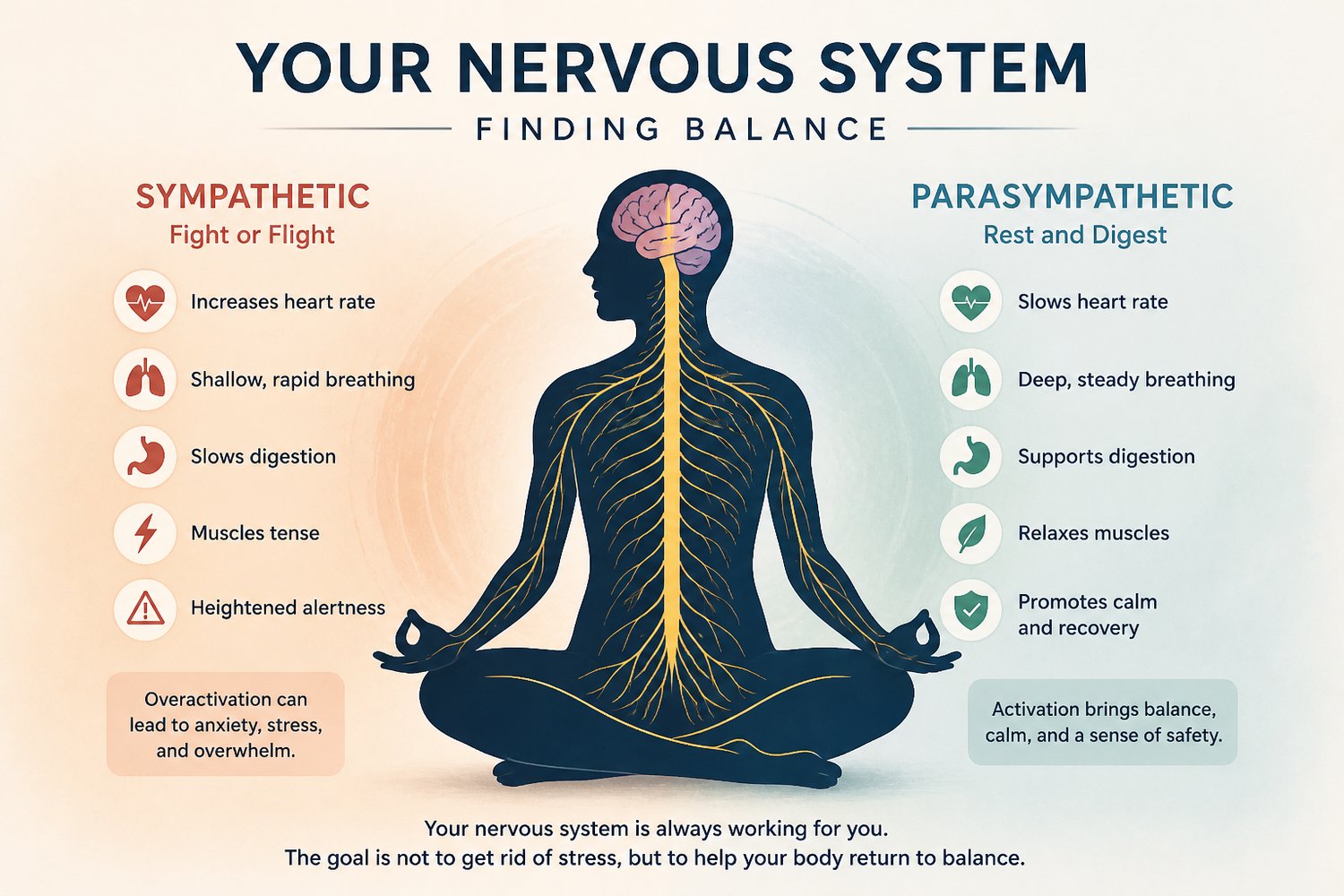 sympathetic nervous system and anxiety
