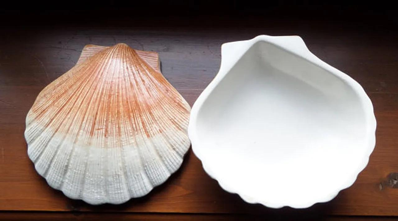Vintage 1970s Faience Scallop Shell Lidded Box by Caugant