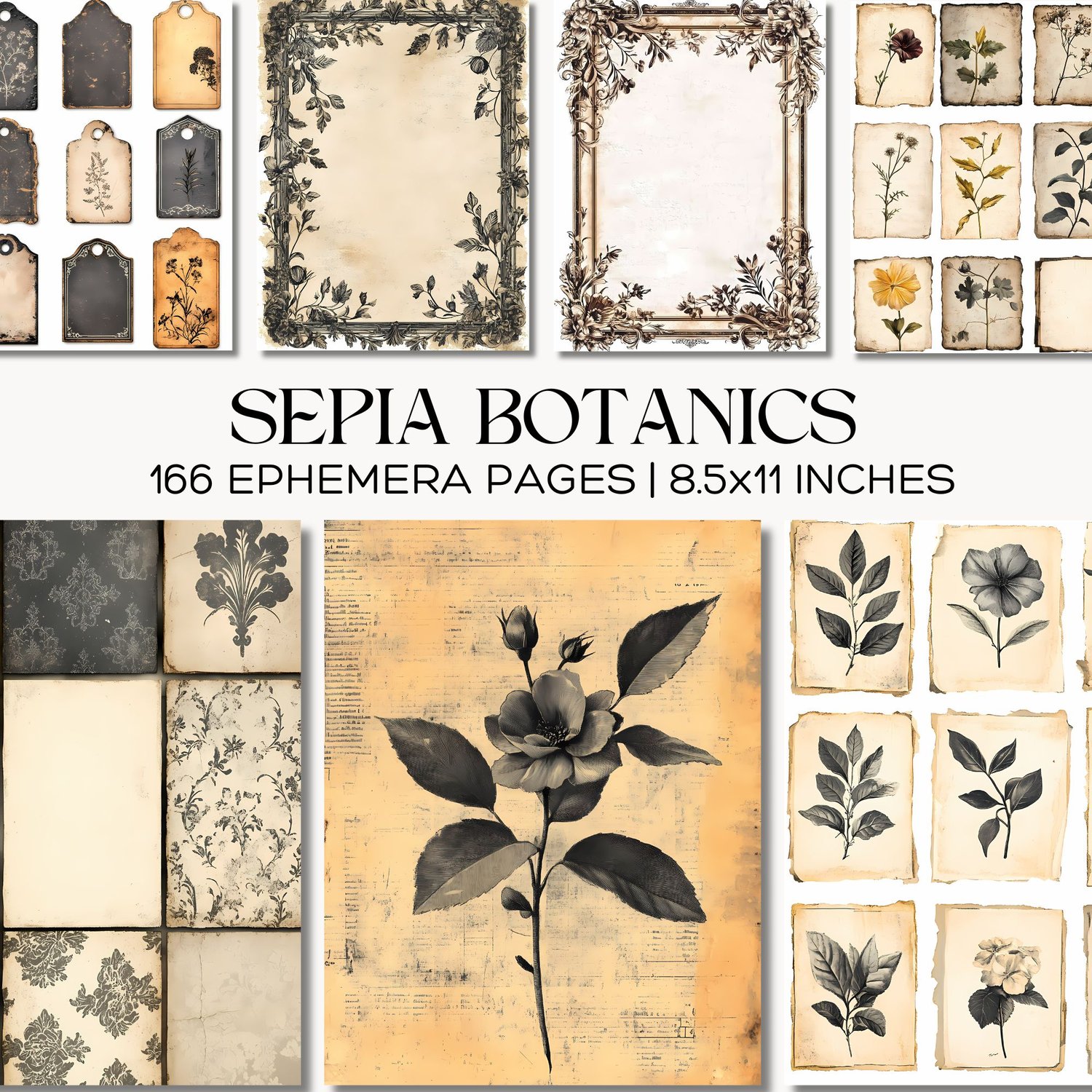 Sepia Botanics Printable Junk Journal Pages Vintage Botanical Ephemera ...