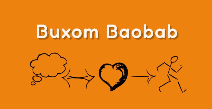Buxom Baobab title with apricot colour background