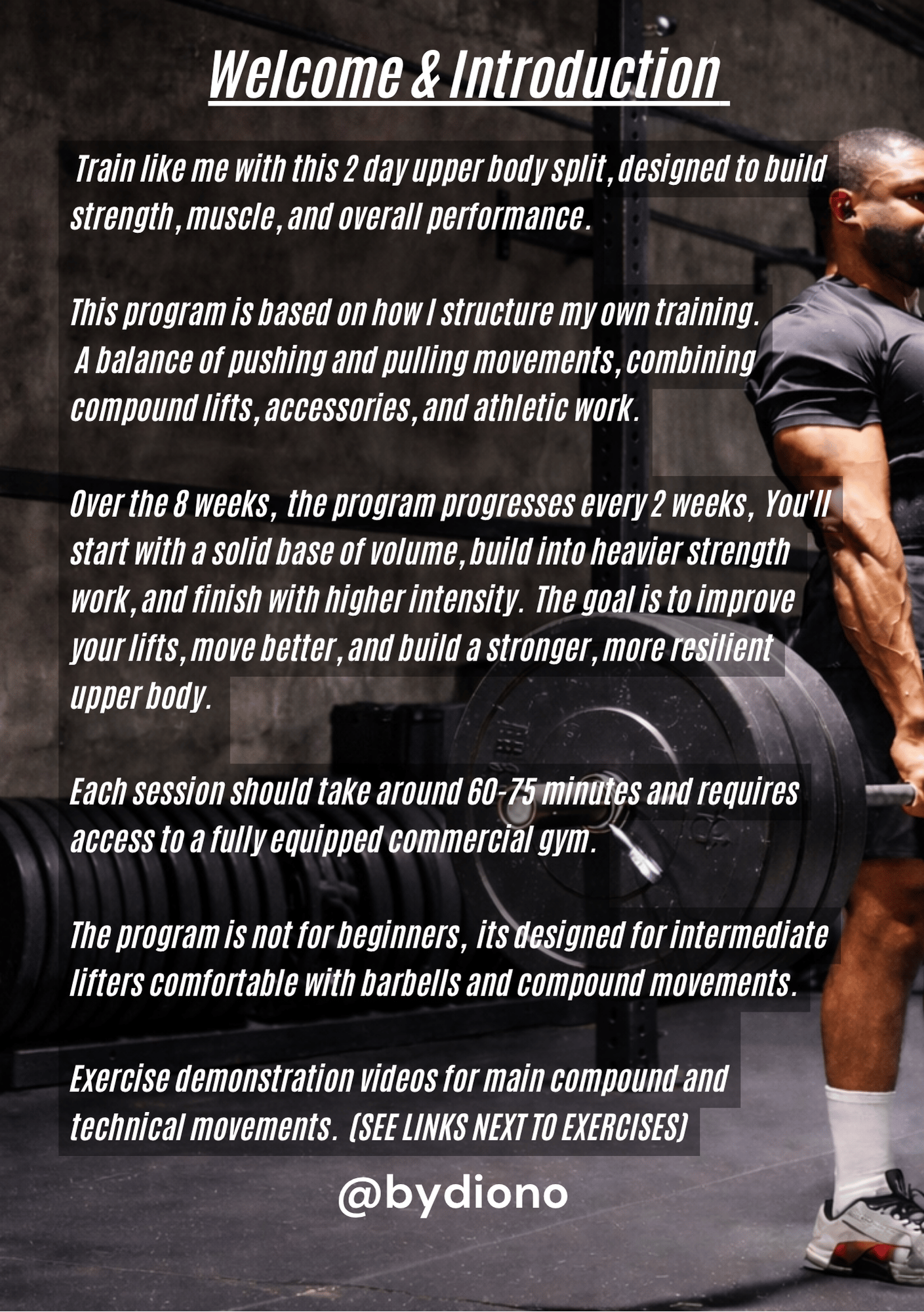 Upper Body Strength Program (8 Week - 2 Day Split) - Payhip
