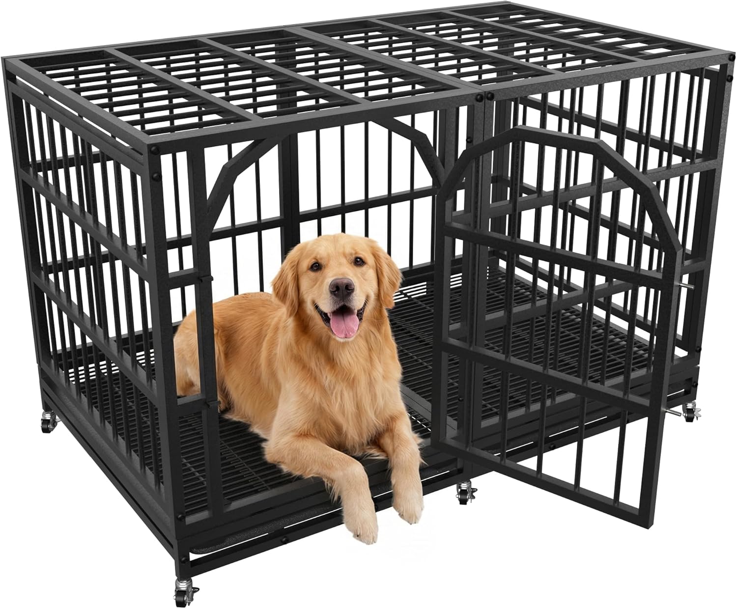 best dog crates