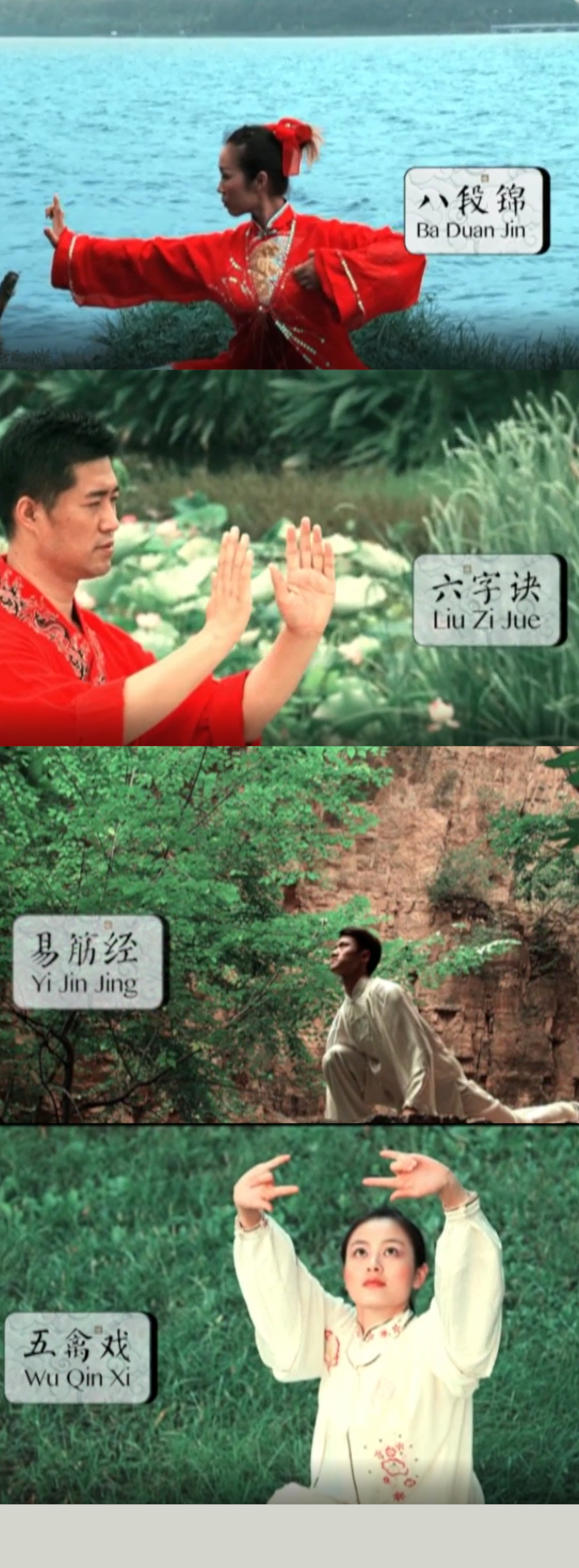 health-qigong-online-program-south-africa.jpg