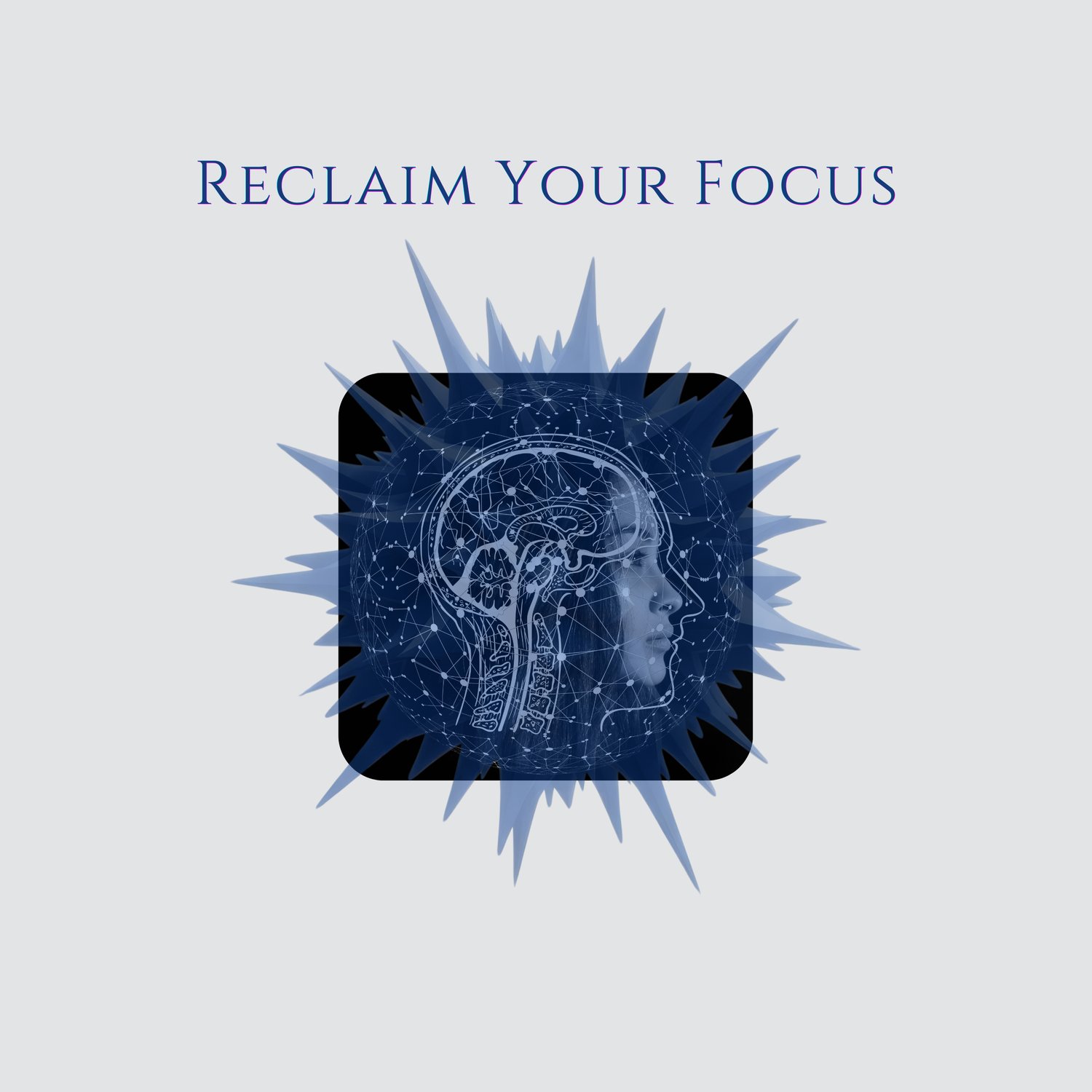 Minimal self-improvement ebook thumbnail featuring the phrase “RECLAIM YOUR FOCUS” with glowing neural visuals and clean typography representing mental clarity, concentration, and attention recovery.