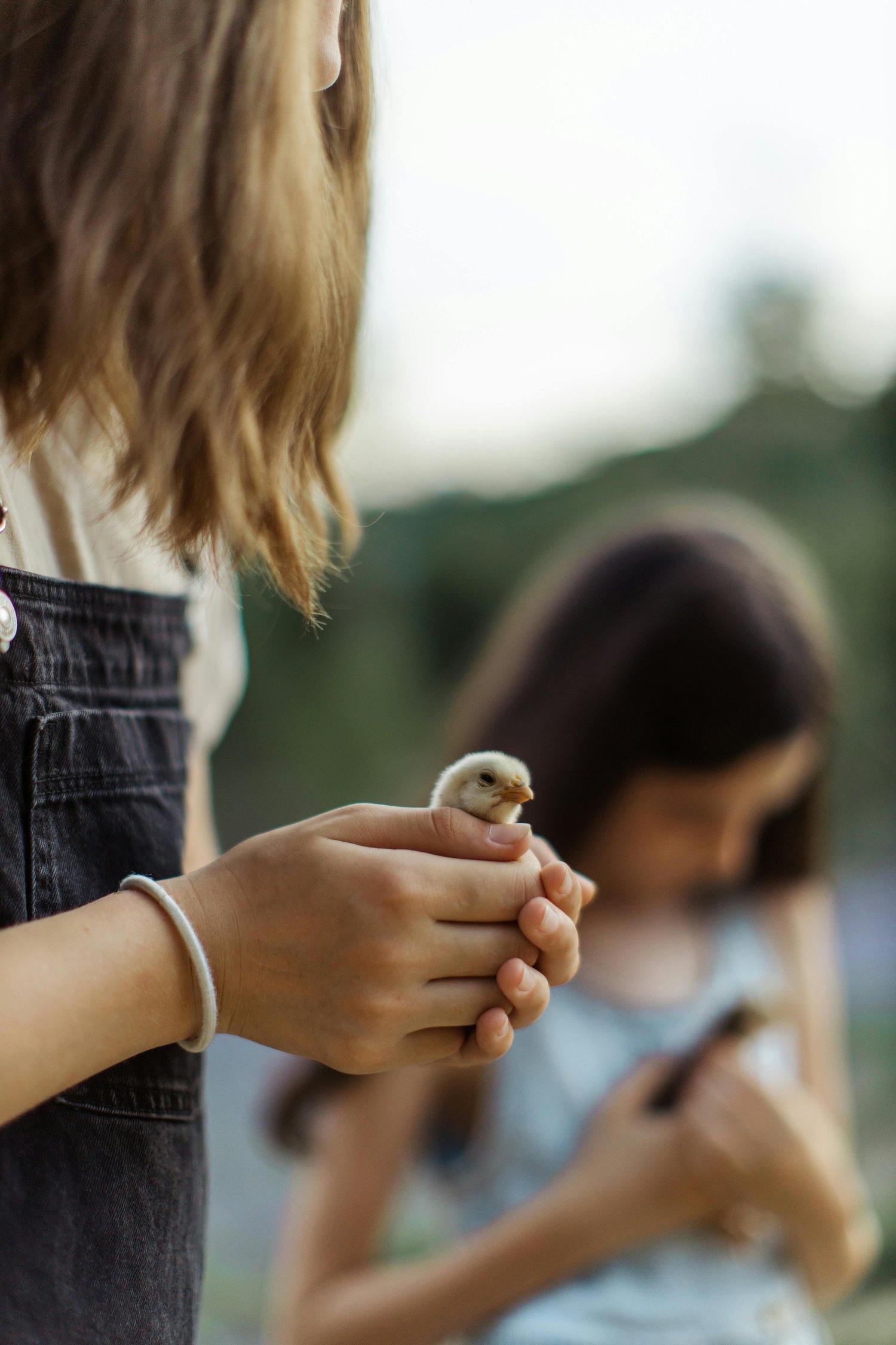 Two girls holding chicks