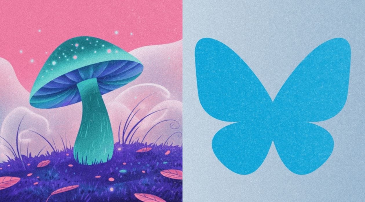 A picture that displays a digital drawing of a teal mushroom on the left side, and the Bluesky logo set against a dull gray backdrop.