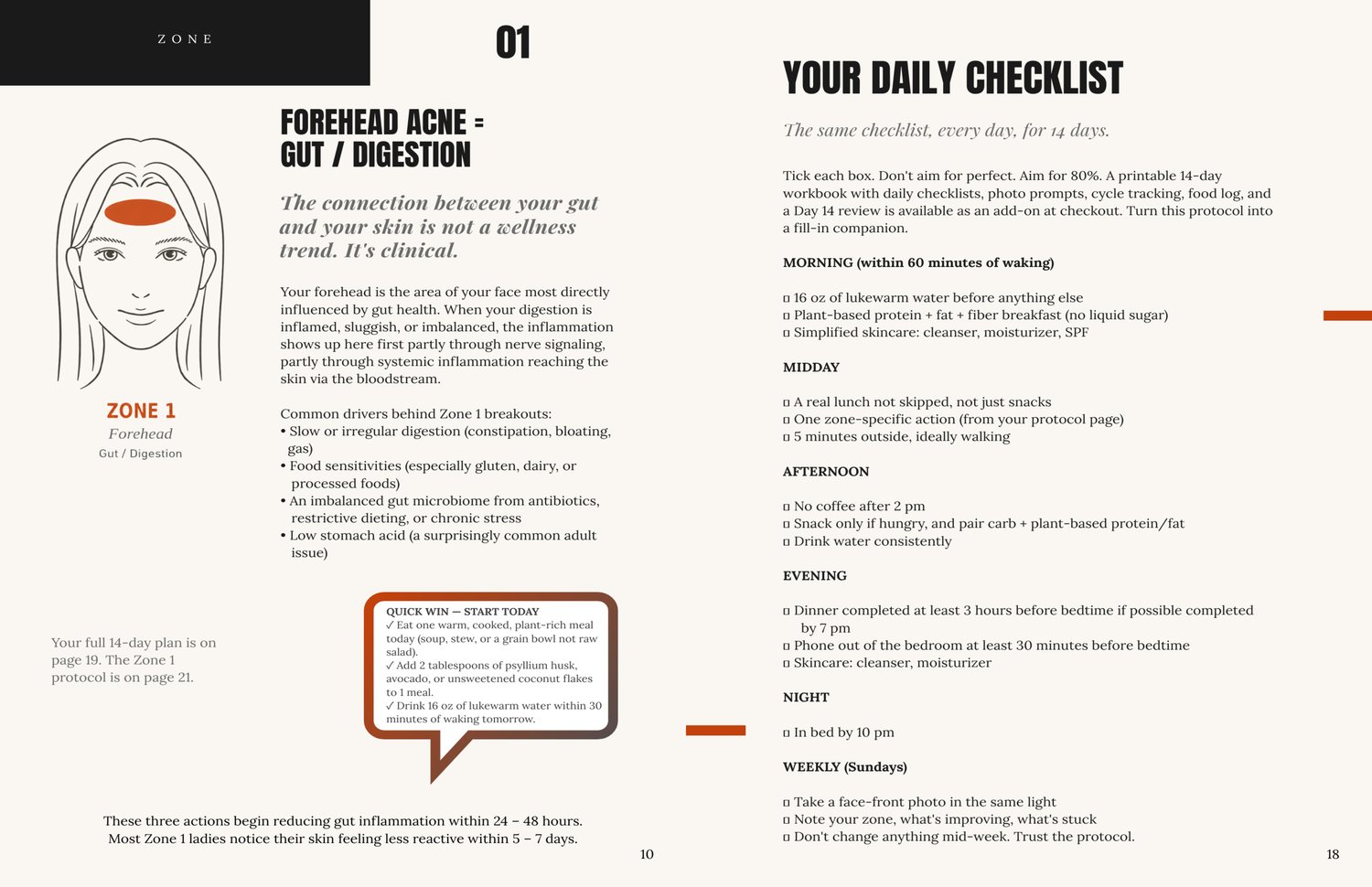 Inside The Acne Pattern Method — the 14-day daily checklist paired with a zone-specific protocol showing how the system layers general habits with targeted interventions for each acne zone
