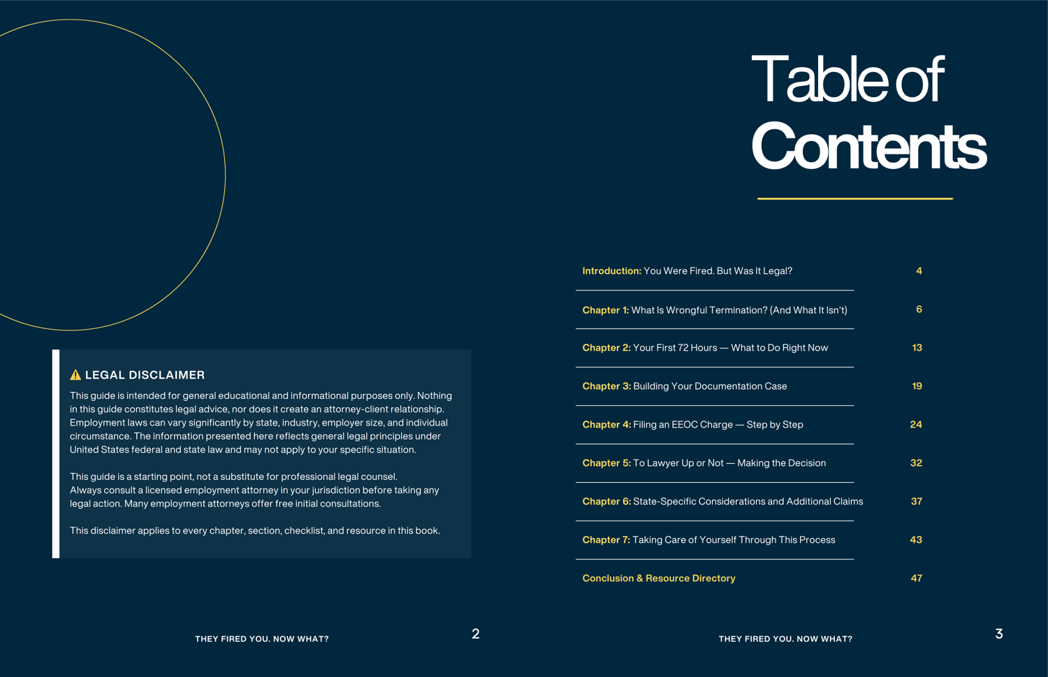 They fired you. Now what? eBook Table of Contents