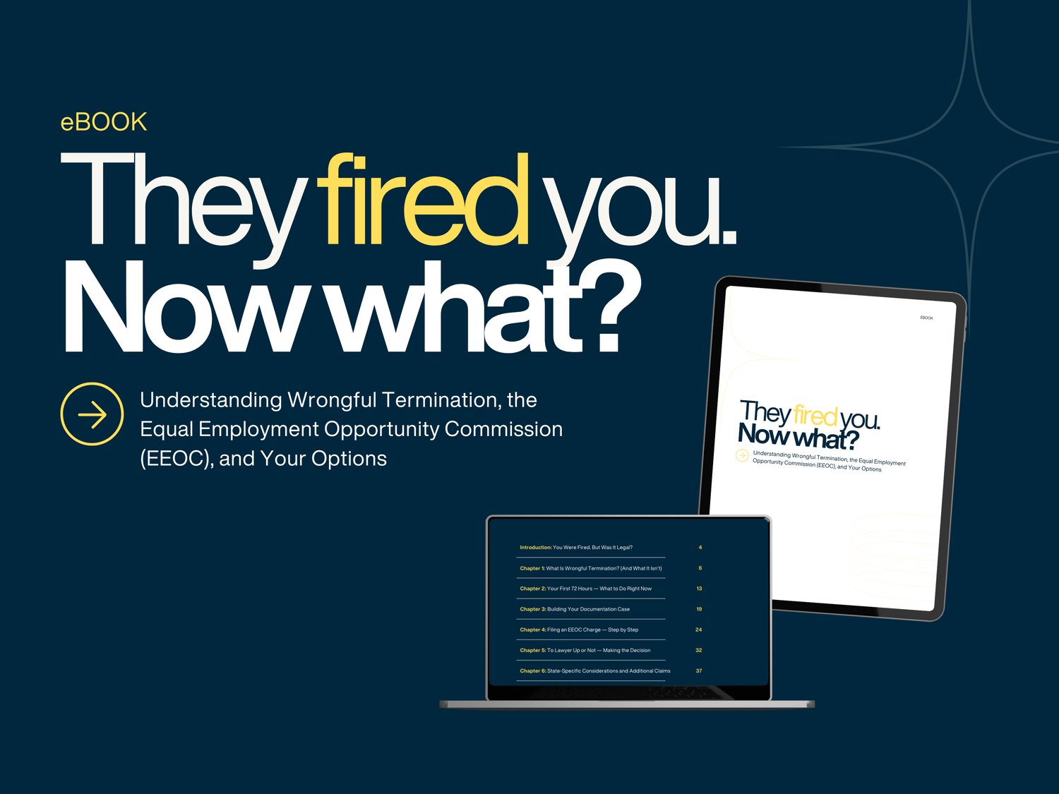they fired you now what ebook cover