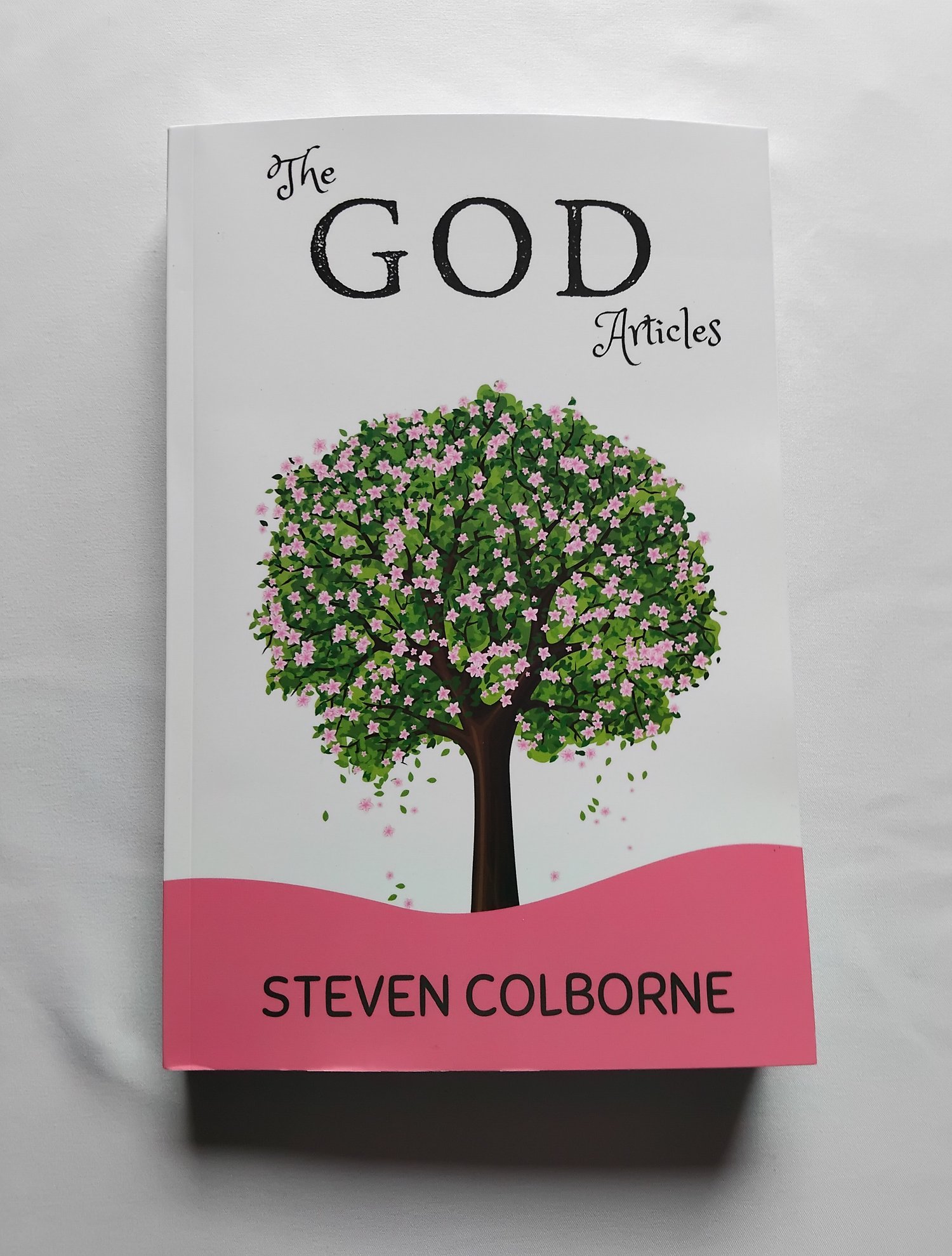 The God Articles by Steven Colborne (paperback)