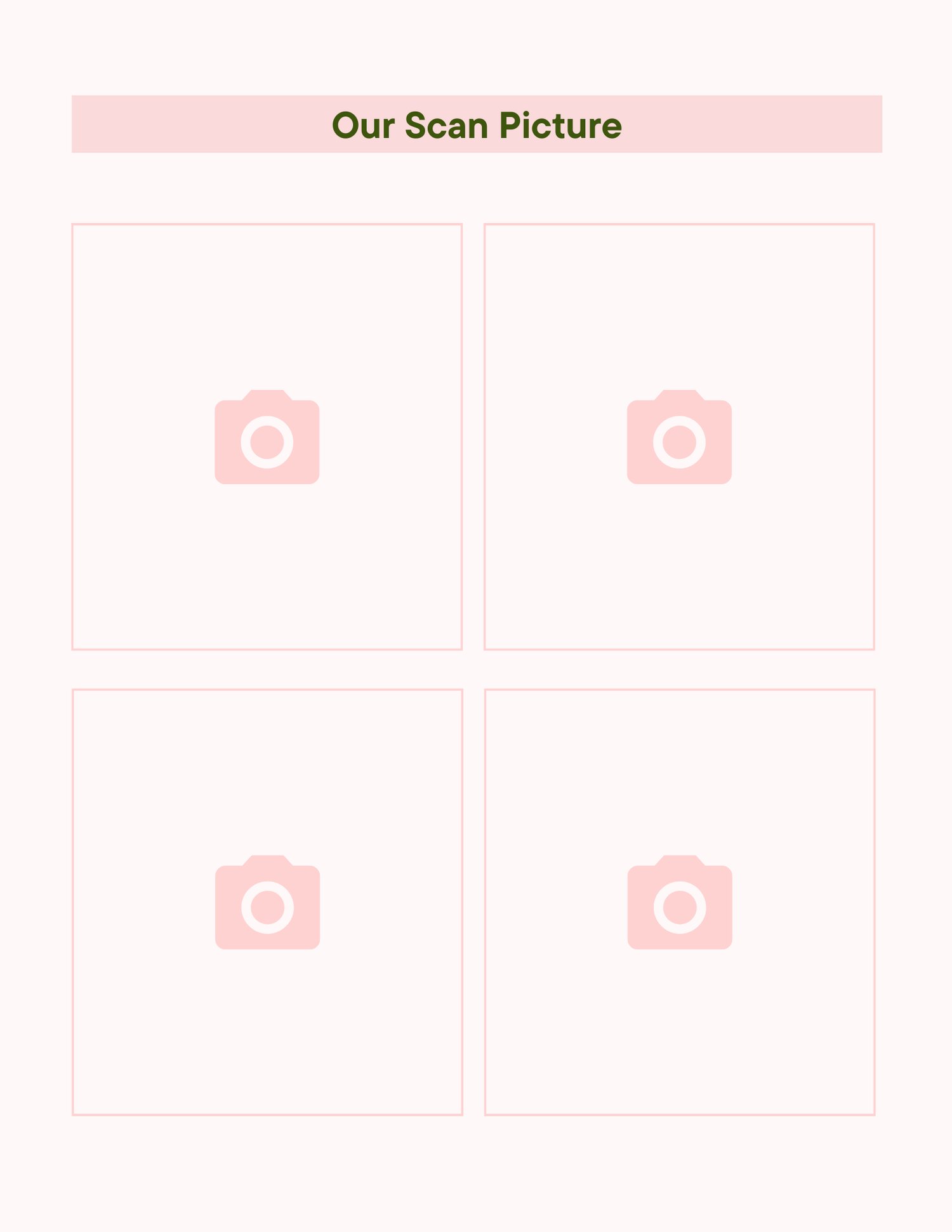 Placeholder page for "Our Scan Picture".