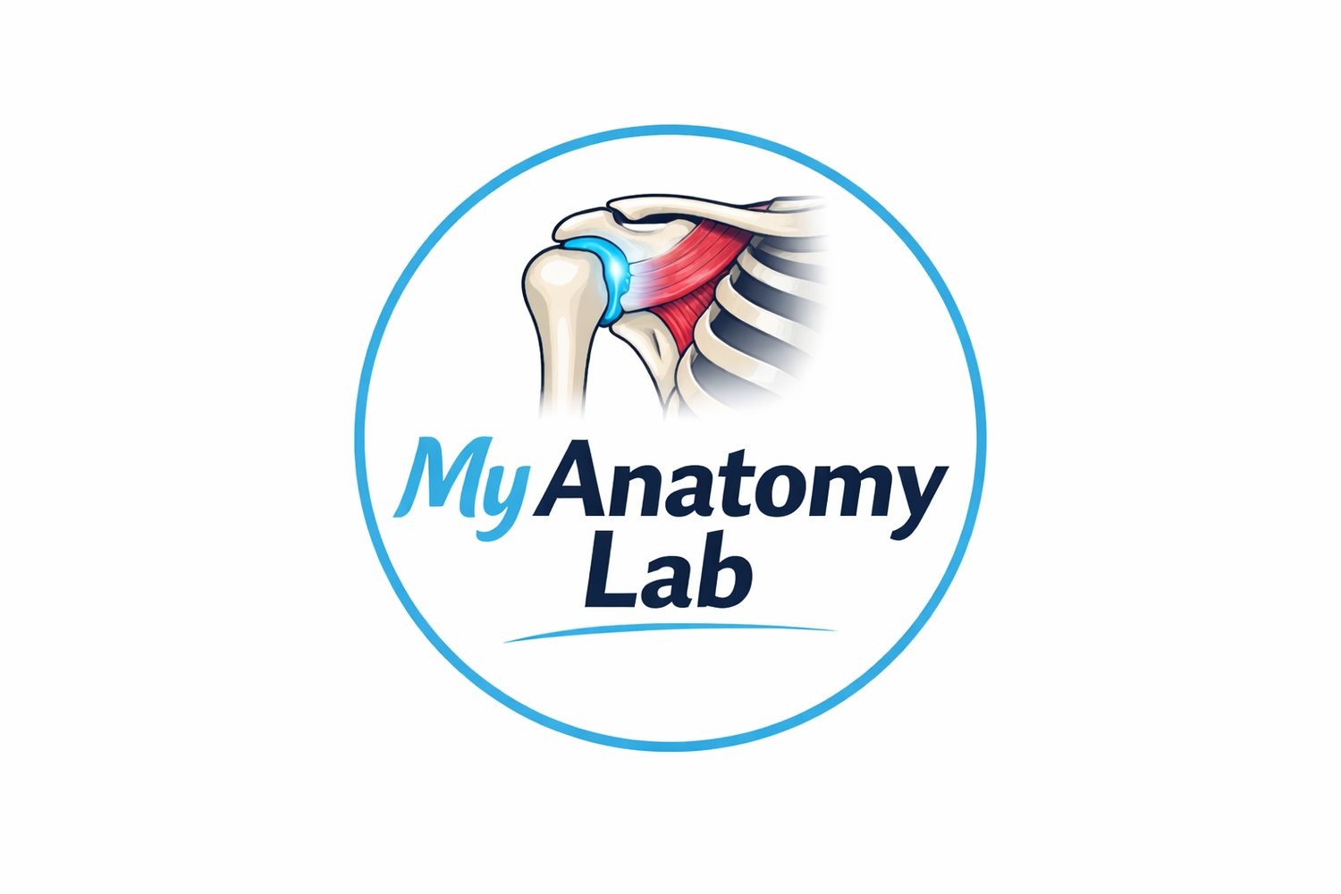 MyAnatomyLab