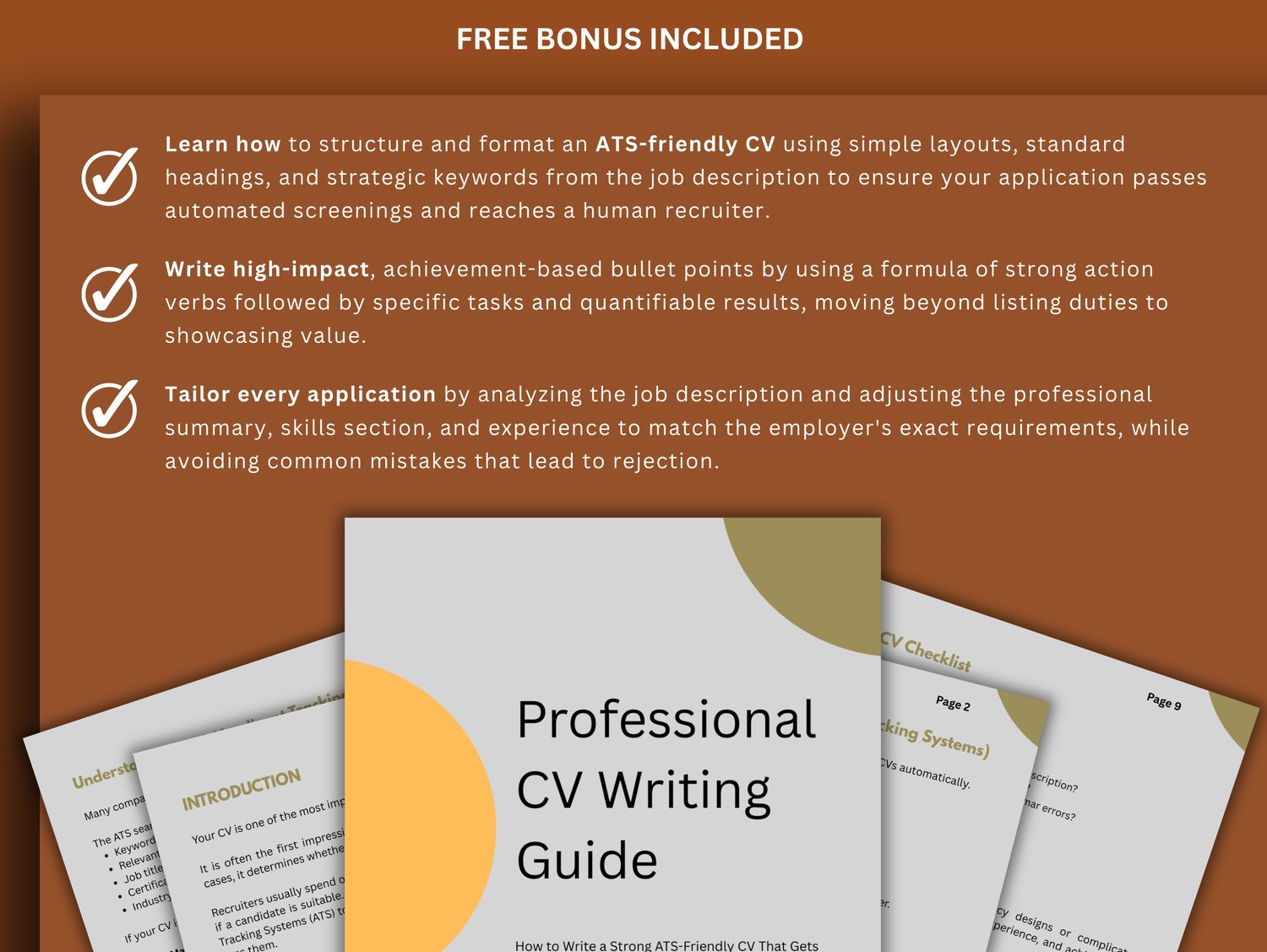 Professional CV Template - Payhip